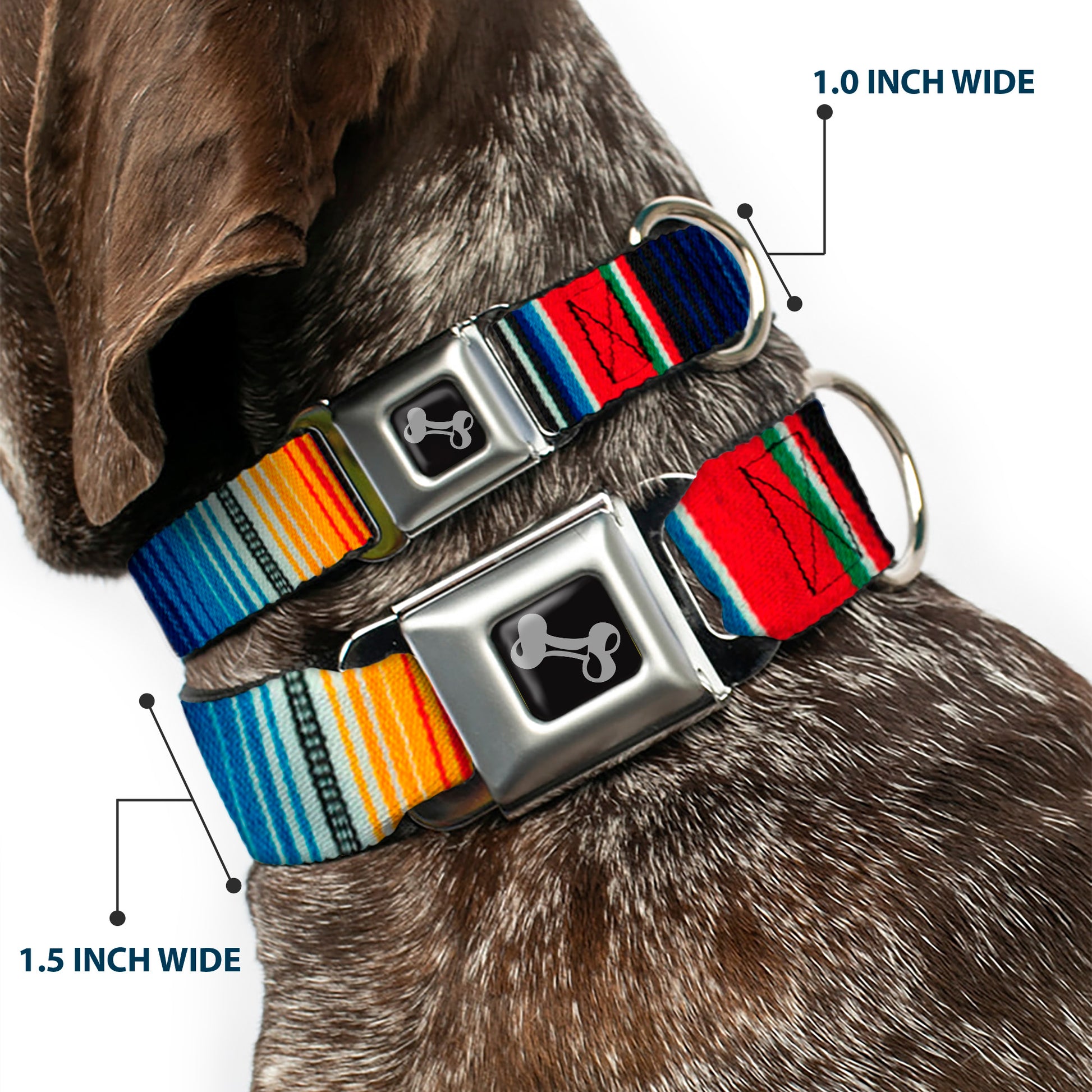 Dog Bone Seatbelt Buckle Collar - Zarape2 Vertical Multi Color Stripe Seatbelt Buckle Collars Buckle-Down