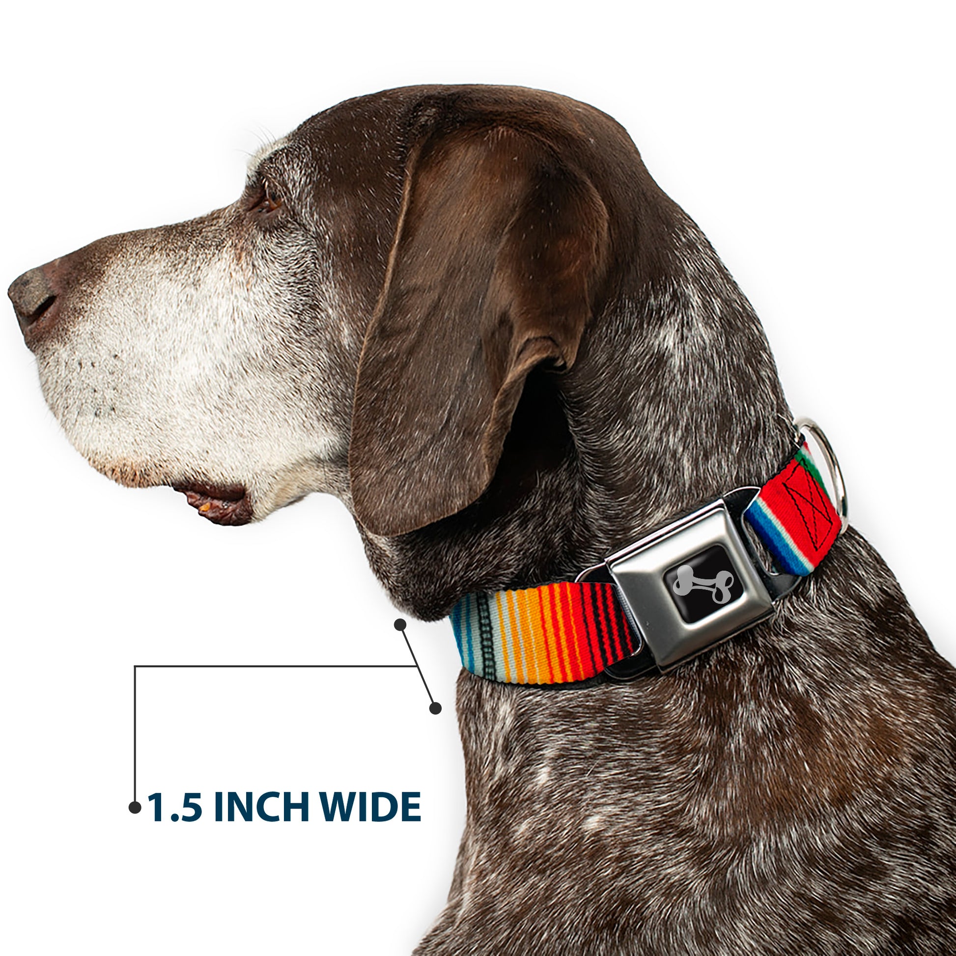 Dog Bone Seatbelt Buckle Collar - Zarape2 Vertical Multi Color Stripe Seatbelt Buckle Collars Buckle-Down