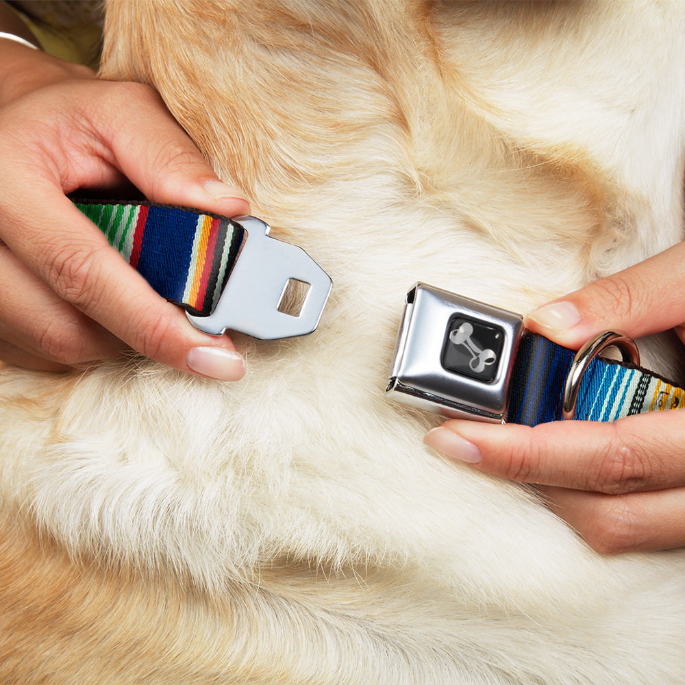 Dog Bone Seatbelt Buckle Collar - Zarape2 Vertical Multi Color Stripe Seatbelt Buckle Collars Buckle-Down