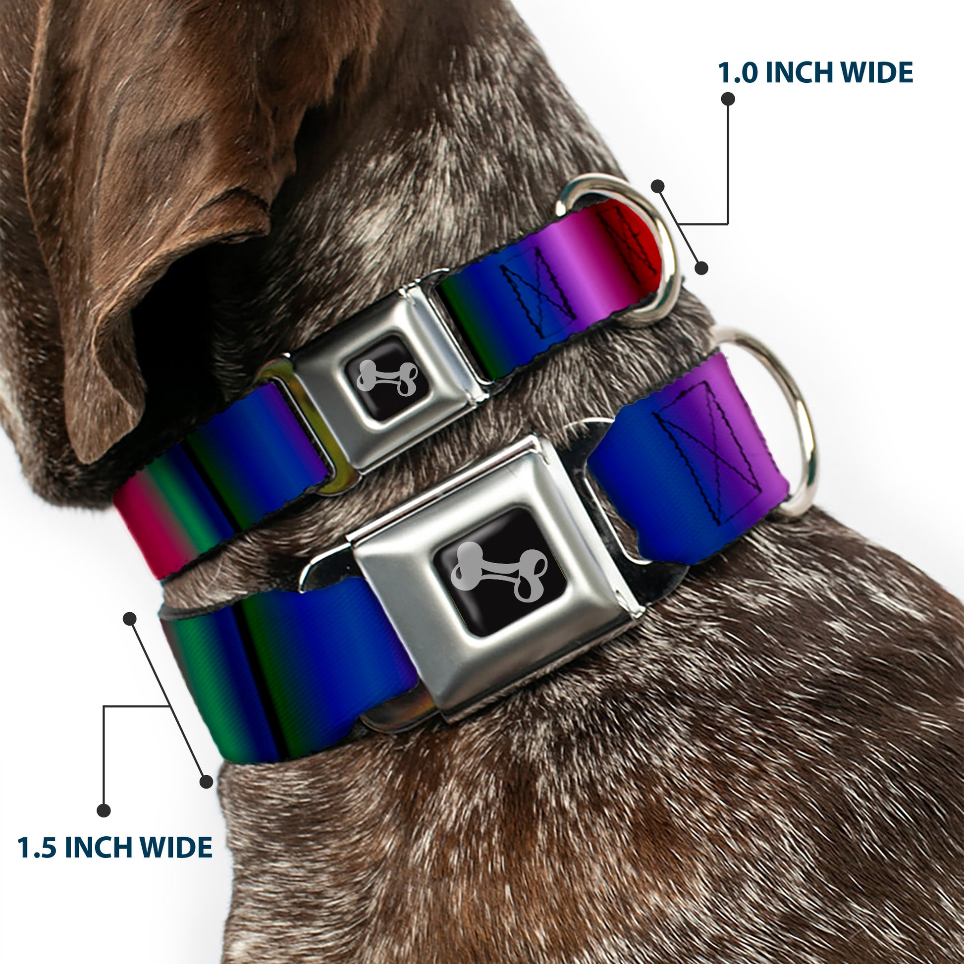Dog Bone Seatbelt Buckle Collar - Zarape3 Vertical Multi Color Fade Seatbelt Buckle Collars Buckle-Down