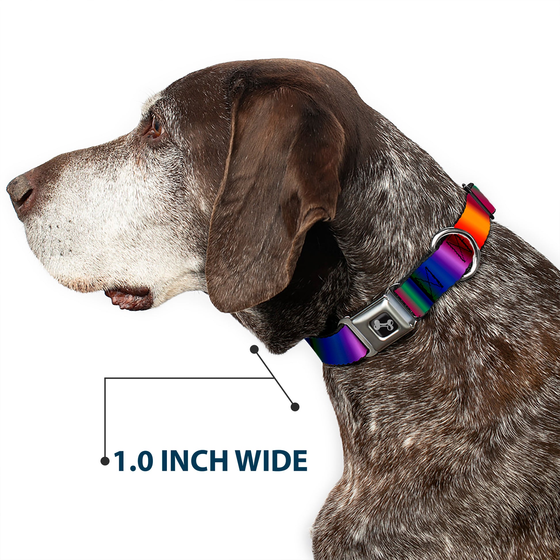 Dog Bone Seatbelt Buckle Collar - Zarape3 Vertical Multi Color Fade Seatbelt Buckle Collars Buckle-Down