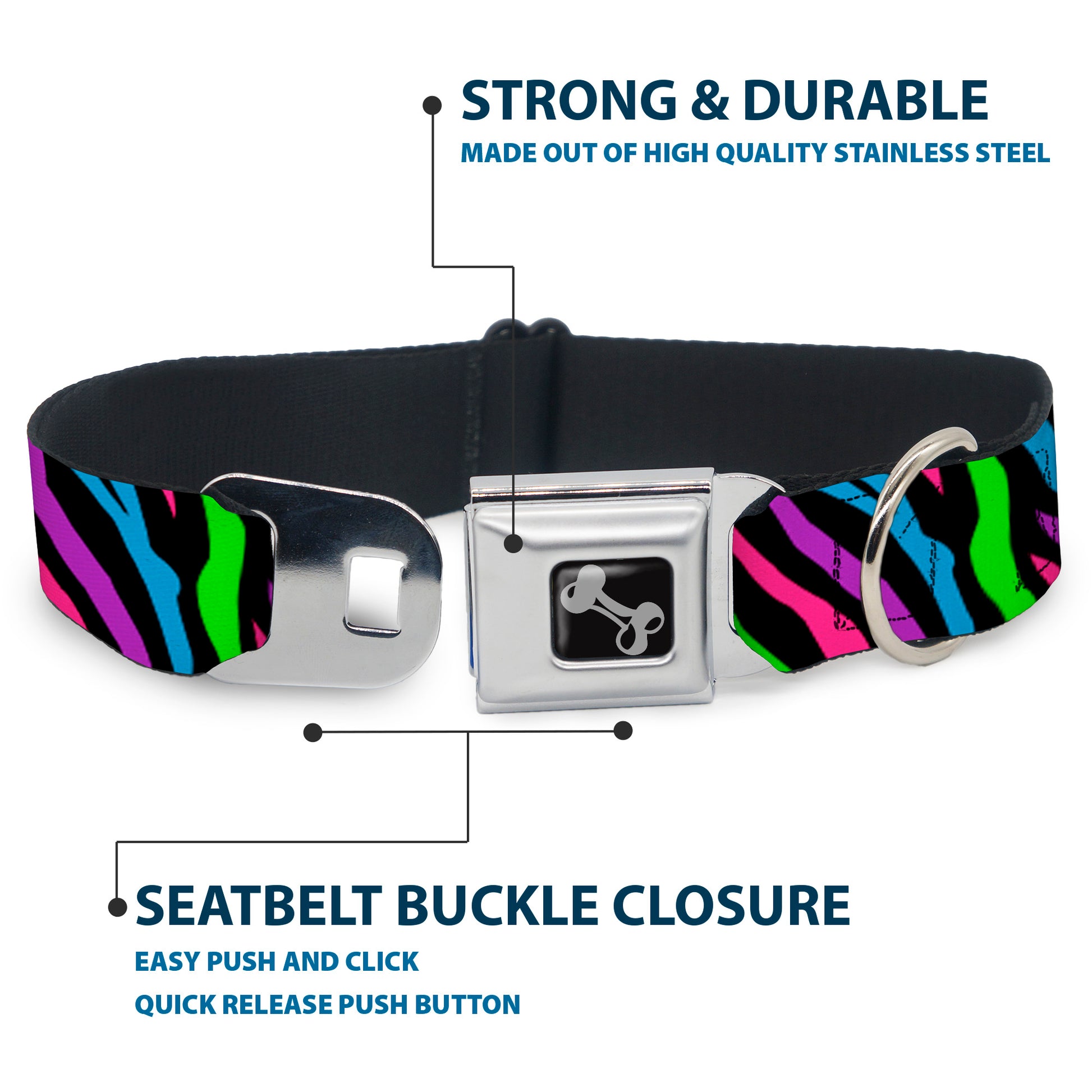Dog Bone Seatbelt Buckle Collar - Zebra Black/Blue/Green/Pink/Purple Seatbelt Buckle Collars Buckle-Down
