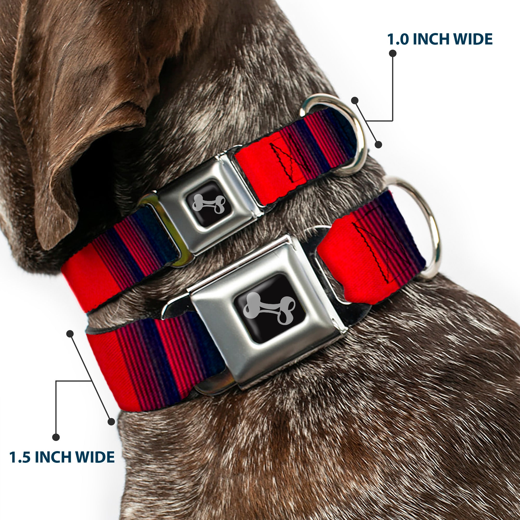 Dog Bone Seatbelt Buckle Collar - Zarape4 Vertical Rasta Seatbelt Buckle Collars Buckle-Down