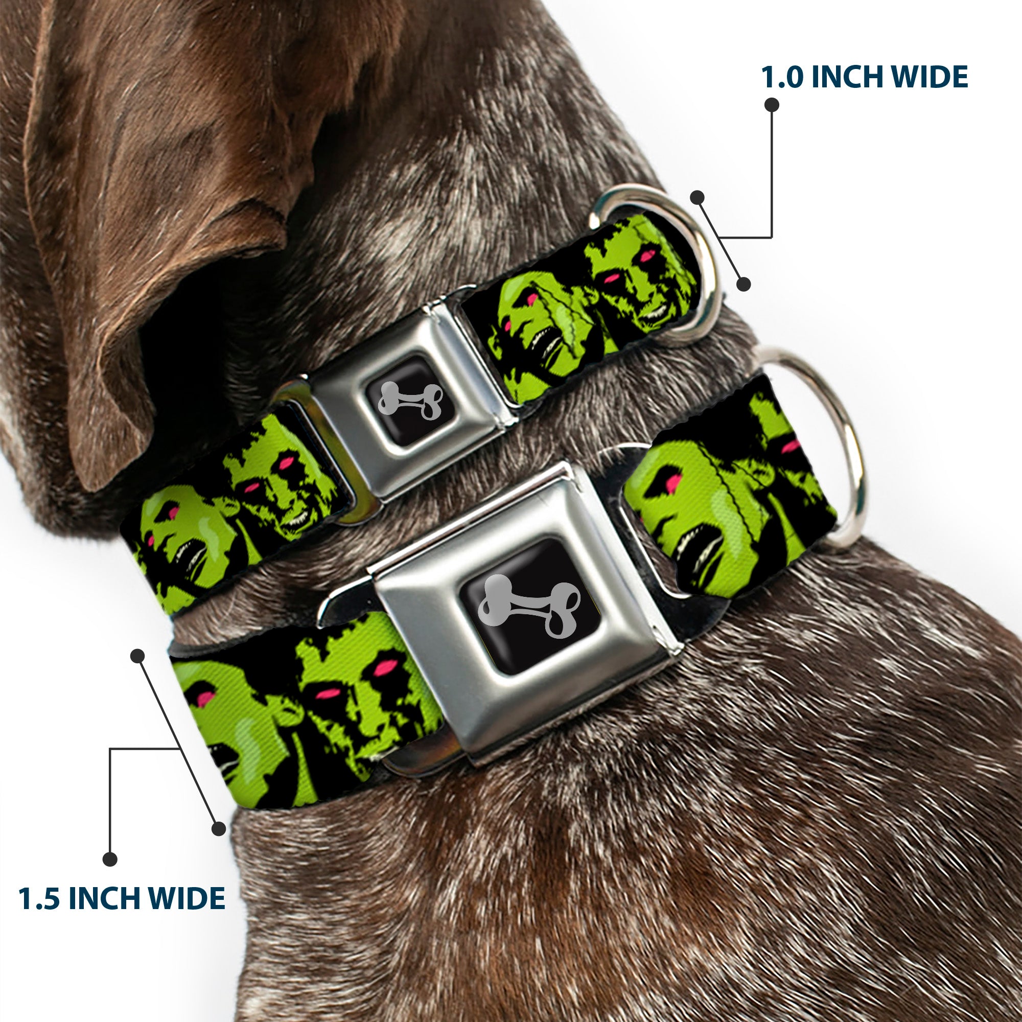 Dog Bone Seatbelt Buckle Collar - Zombie Expressions Black/Green/Red Seatbelt Buckle Collars Buckle-Down