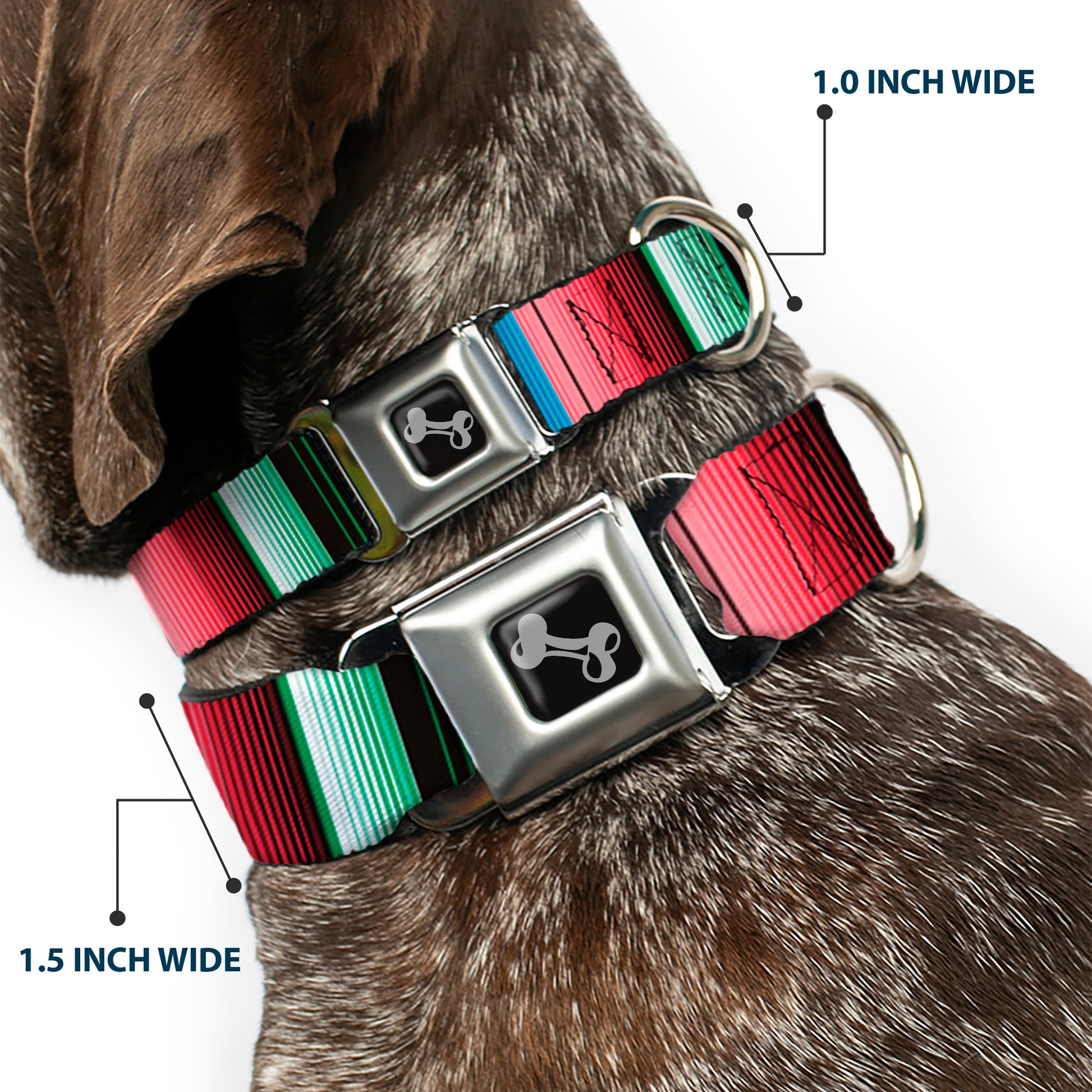 Dog Bone Seatbelt Buckle Collar - Zarape5 Vertical Multi Color Stripe Seatbelt Buckle Collars Buckle-Down