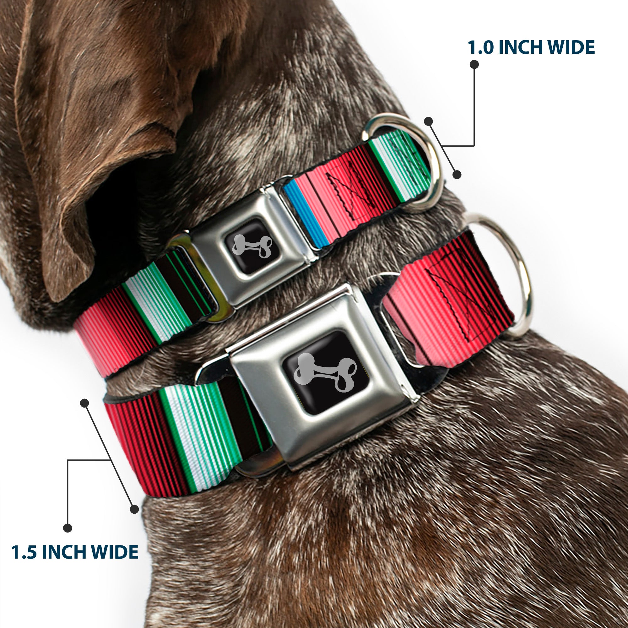 Dog Bone Seatbelt Buckle Collar - Zarape5 Vertical Multi Color Stripe Seatbelt Buckle Collars Buckle-Down