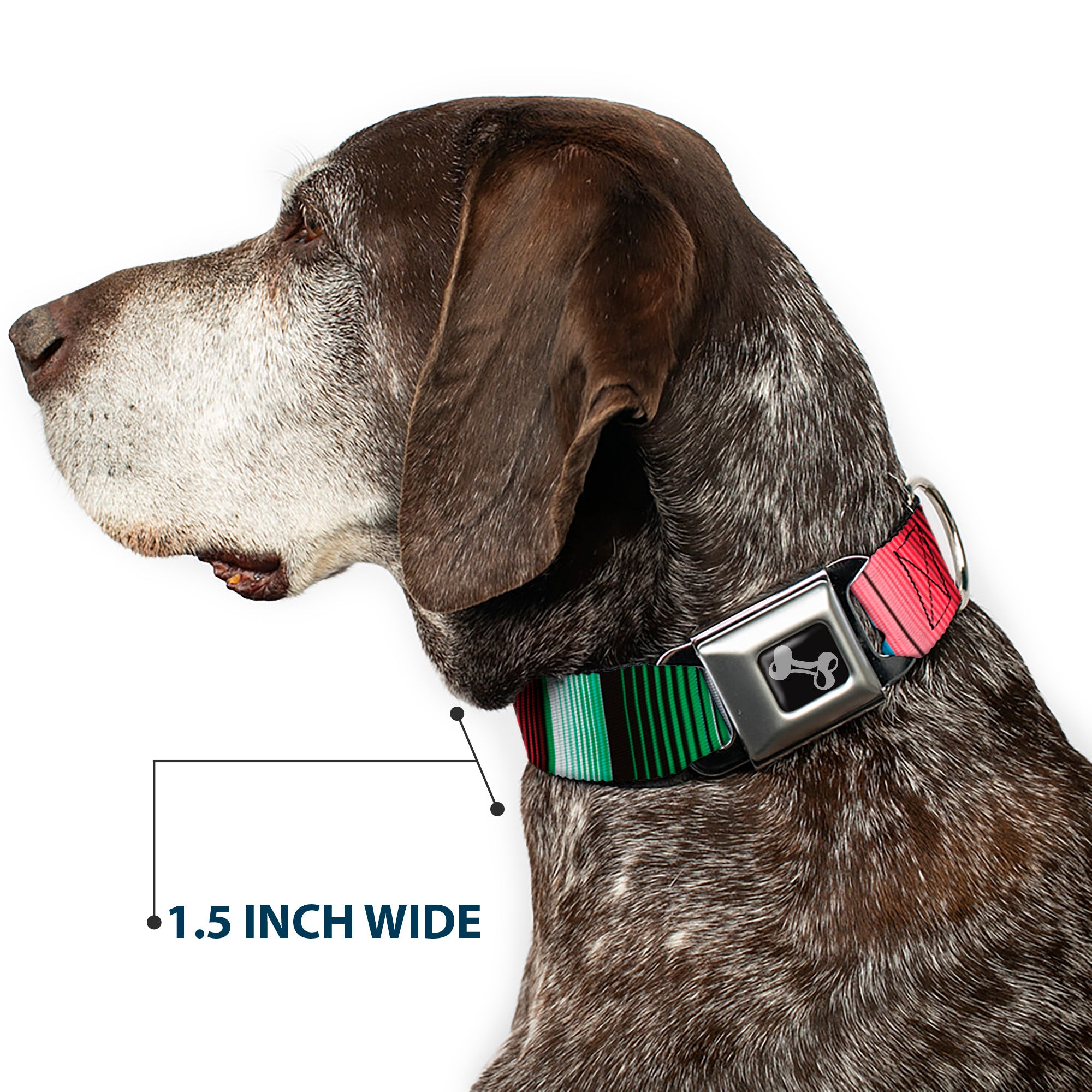 Dog Bone Seatbelt Buckle Collar - Zarape5 Vertical Multi Color Stripe Seatbelt Buckle Collars Buckle-Down
