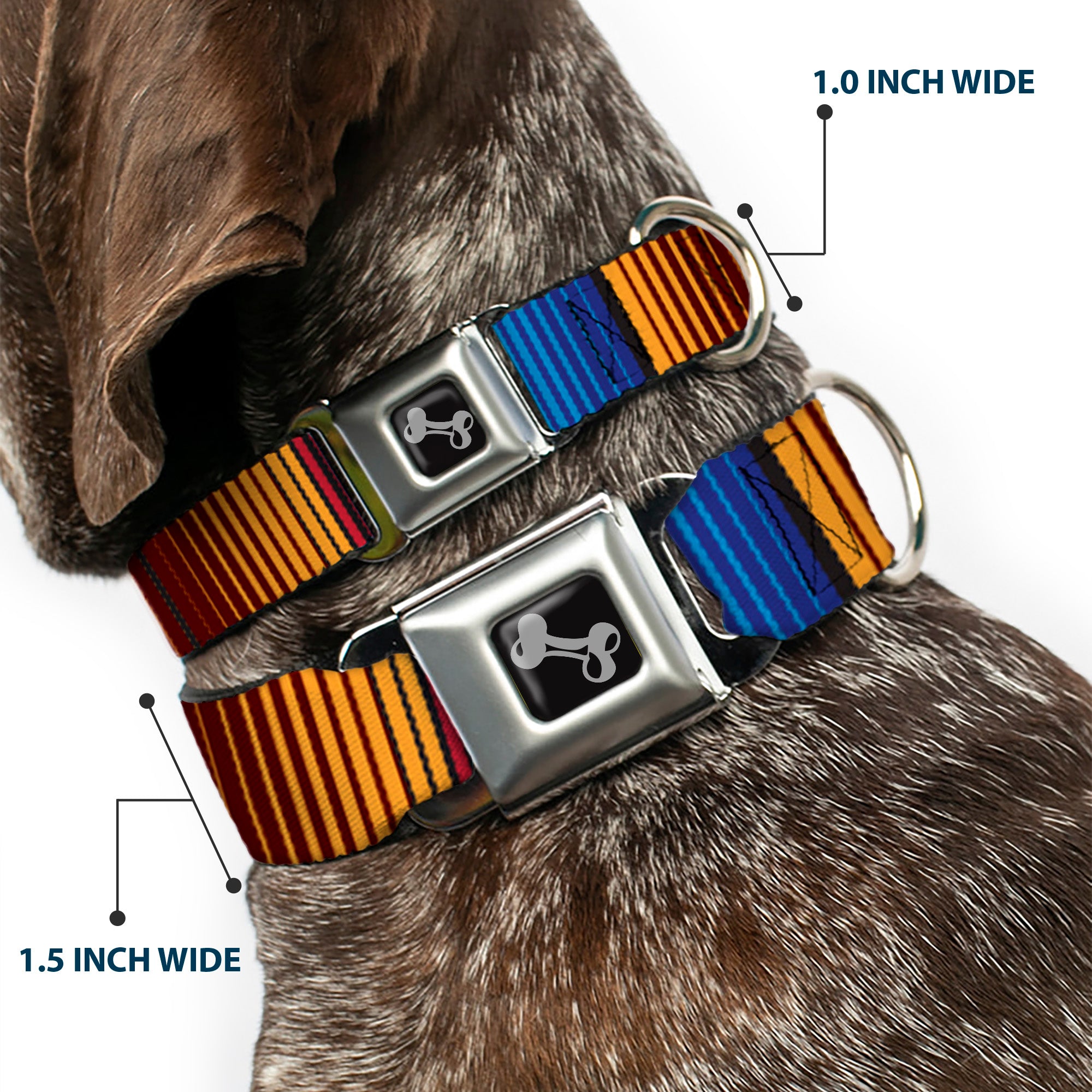 Dog Bone Seatbelt Buckle Collar - Zarape6 Vertical Stripe Gold/Blues/Black/Red Seatbelt Buckle Collars Buckle-Down