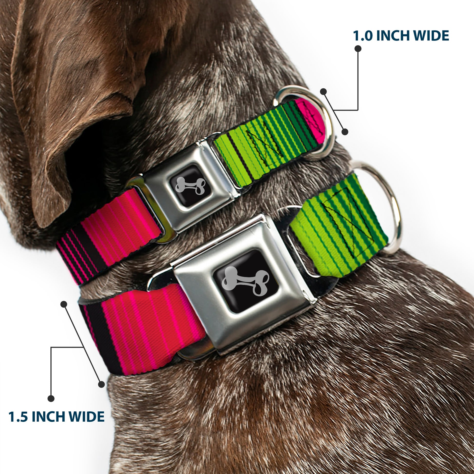Dog Bone Seatbelt Buckle Collar - Zarape7 Vertical Pinks/Blues/Greens/Black Seatbelt Buckle Collars Buckle-Down