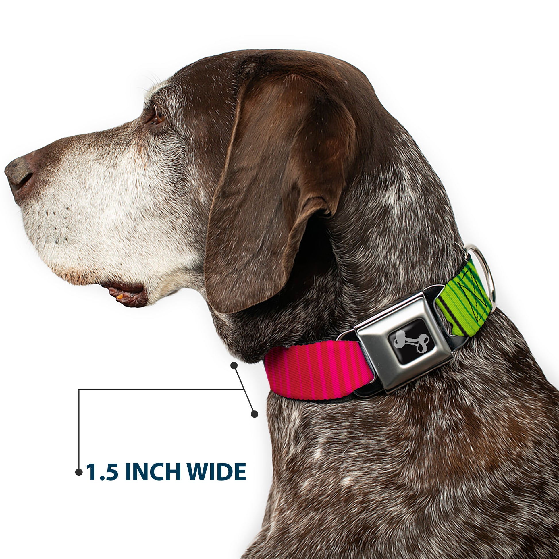 Dog Bone Seatbelt Buckle Collar - Zarape7 Vertical Pinks/Blues/Greens/Black Seatbelt Buckle Collars Buckle-Down
