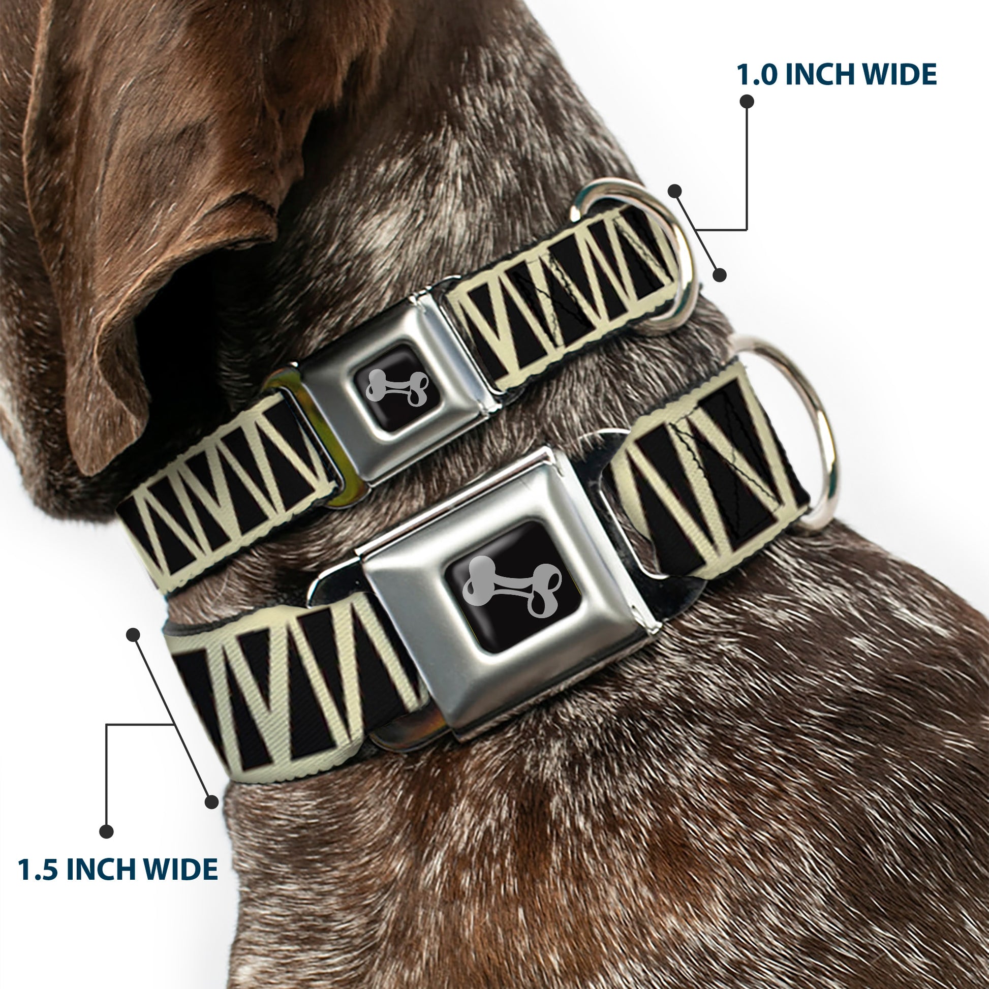 Dog Bone Seatbelt Buckle Collar - Zig Zag Doodle Cream/Black Seatbelt Buckle Collars Buckle-Down