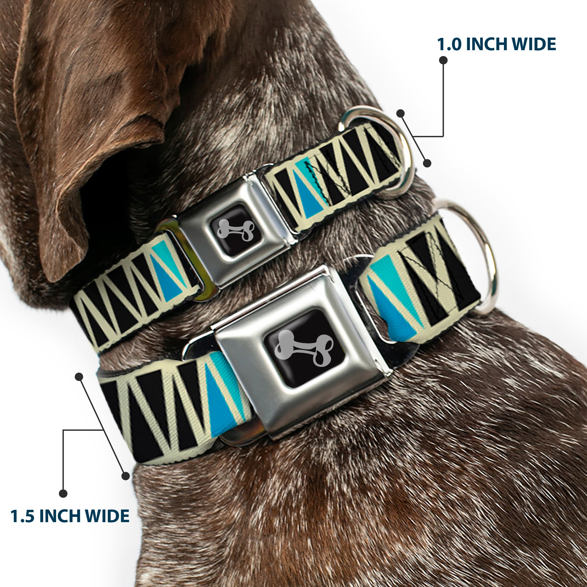 Dog Bone Seatbelt Buckle Collar - Zig Zag Doodle Cream/Black/Blues Seatbelt Buckle Collars Buckle-Down