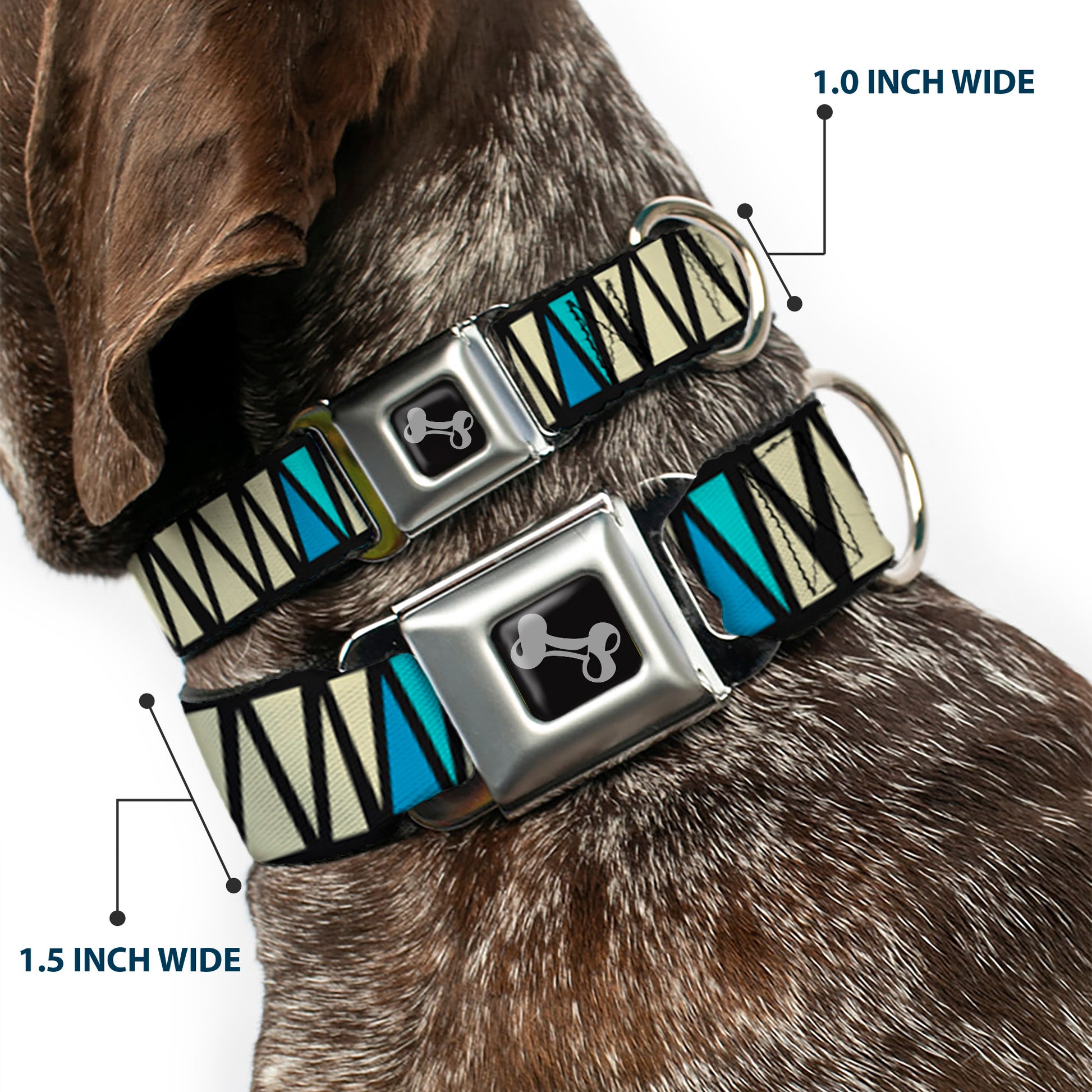 Dog Bone Seatbelt Buckle Collar - Zig Zag Doodle Black/Cream/Blues Seatbelt Buckle Collars Buckle-Down