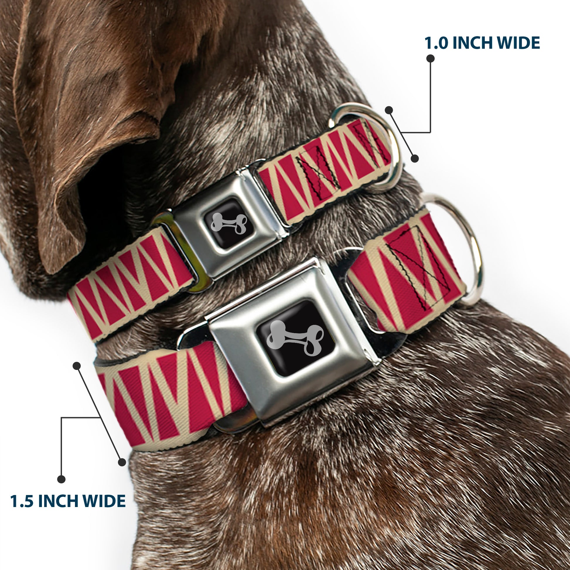Dog Bone Seatbelt Buckle Collar - Zig Zag Doodle Tan/Red Seatbelt Buckle Collars Buckle-Down