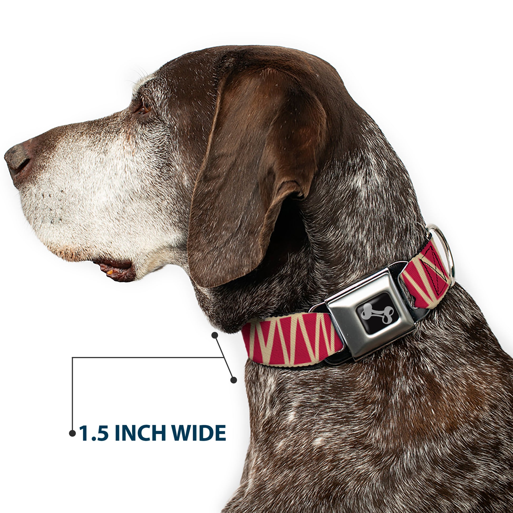 Dog Bone Seatbelt Buckle Collar - Zig Zag Doodle Tan/Red Seatbelt Buckle Collars Buckle-Down