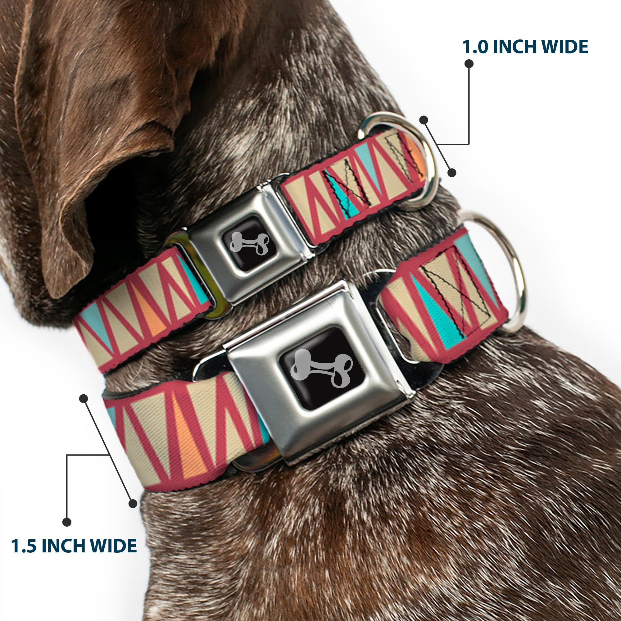 Dog Bone Seatbelt Buckle Collar - Zig Zag Doodle Red/Tan/Blues/Orange Seatbelt Buckle Collars Buckle-Down