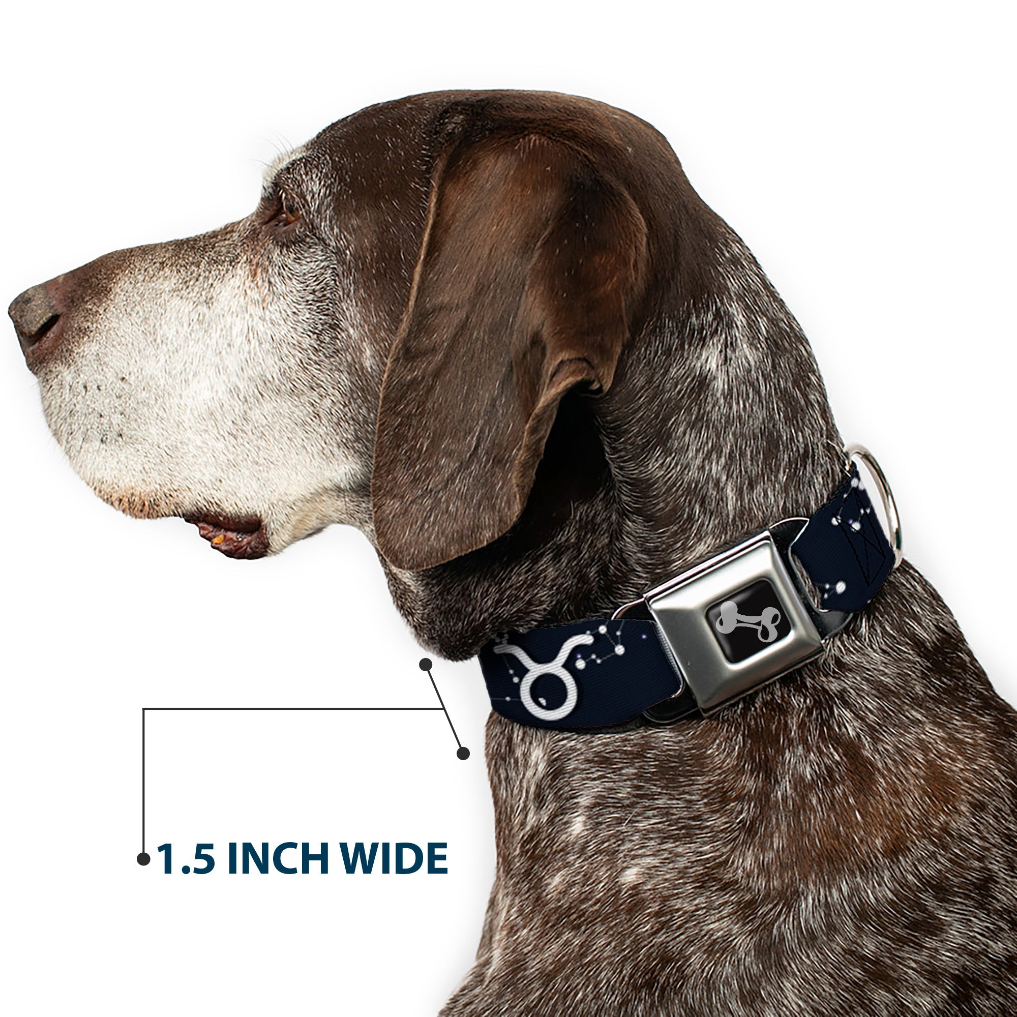 Dog Bone Seatbelt Buckle Collar - Zodiac Taurus Symbol/Constellations Black/White Seatbelt Buckle Collars Buckle-Down