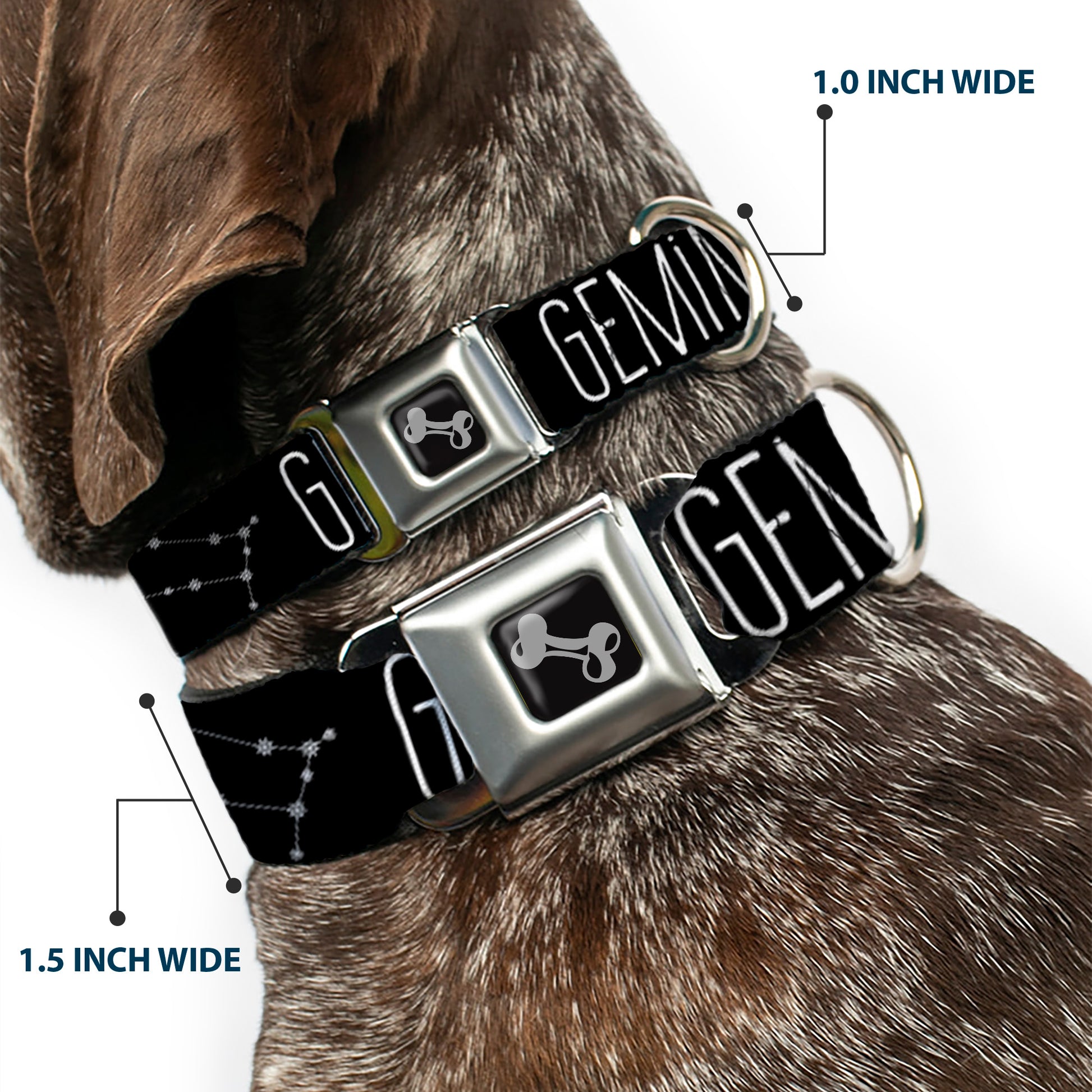 Dog Bone Seatbelt Buckle Collar - Zodiac GEMINI/Constellation Black/White Seatbelt Buckle Collars Buckle-Down