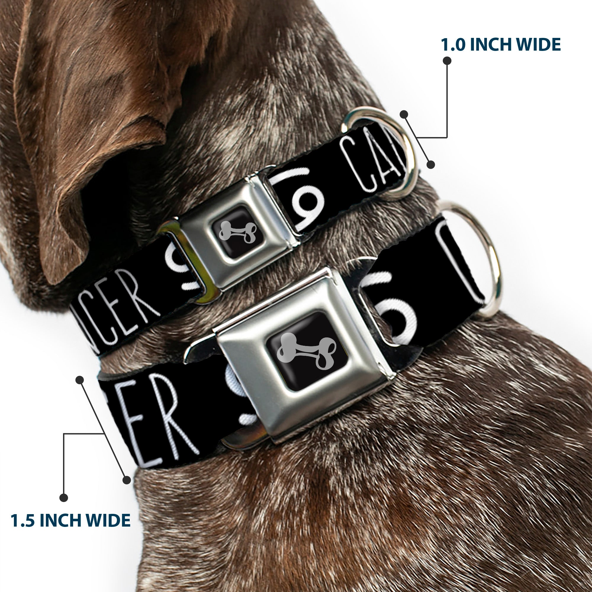 Dog Bone Seatbelt Buckle Collar - Zodiac CANCER/Symbol Black/White Seatbelt Buckle Collars Buckle-Down