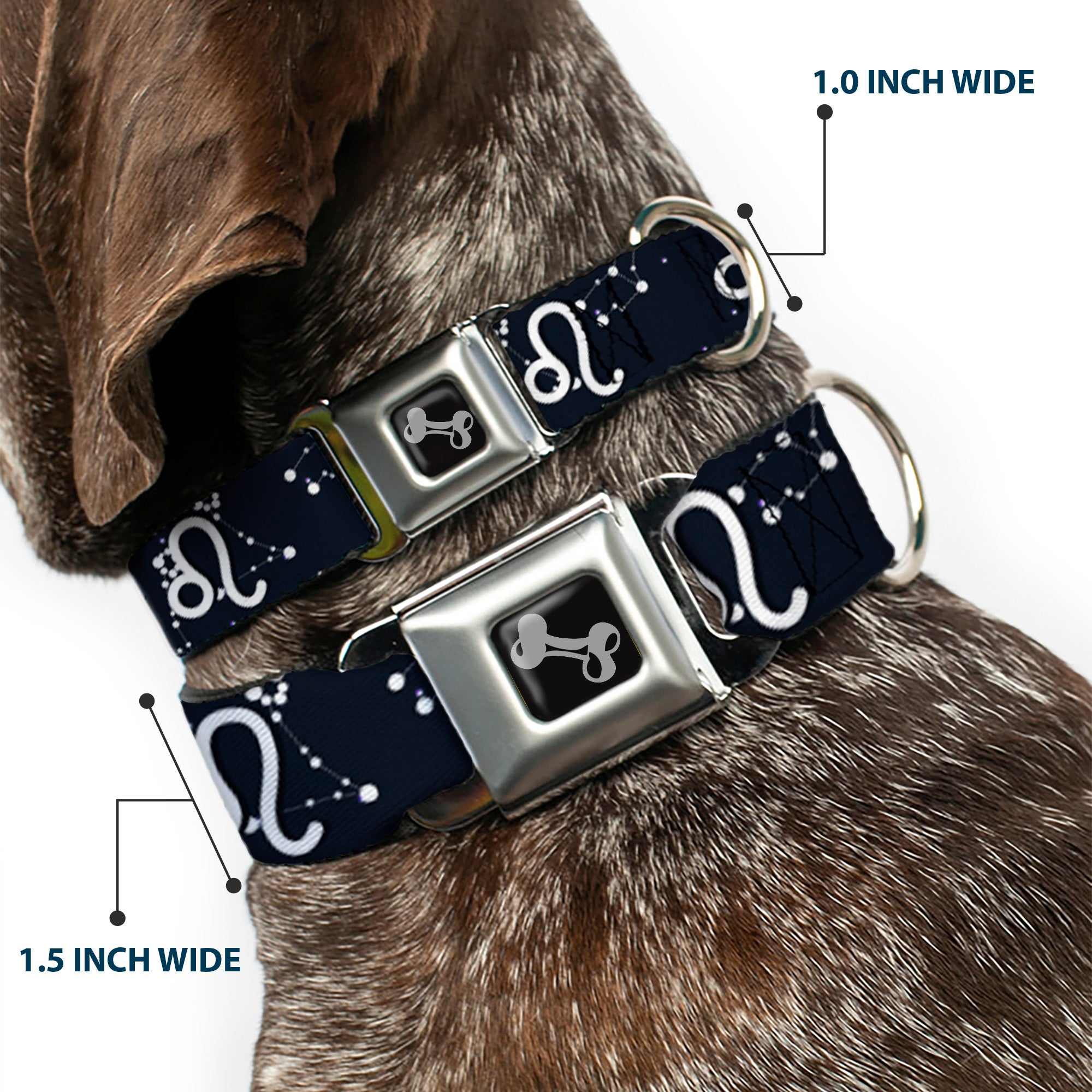 Dog Bone Seatbelt Buckle Collar - Zodiac Leo Symbol/Constellations Black/White Seatbelt Buckle Collars Buckle-Down