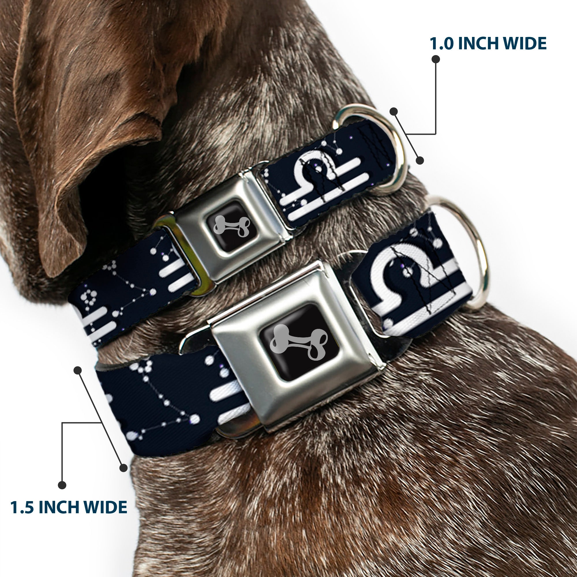 Dog Bone Seatbelt Buckle Collar - Zodiac Libra Symbol/Constellations Black/White Seatbelt Buckle Collars Buckle-Down