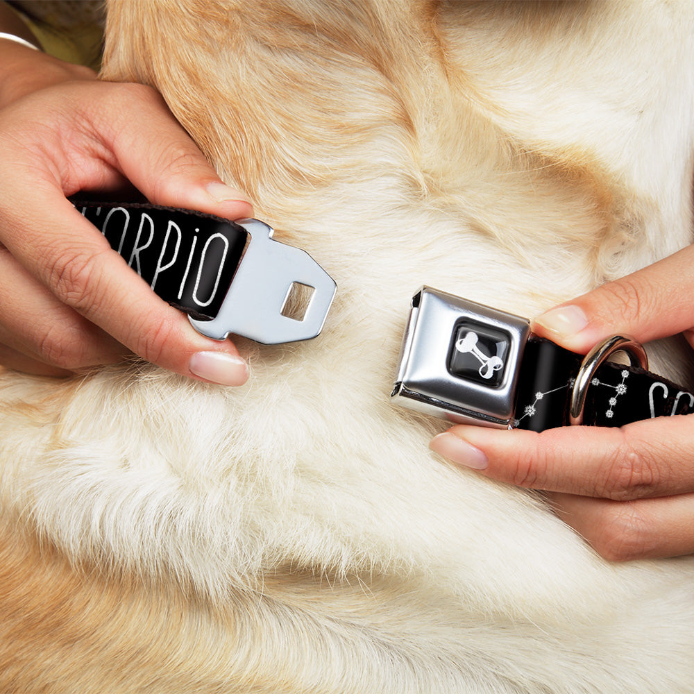 Dog Bone Seatbelt Buckle Collar - Zodiac SCORPIO/Constellation Black/White Seatbelt Buckle Collars Buckle-Down