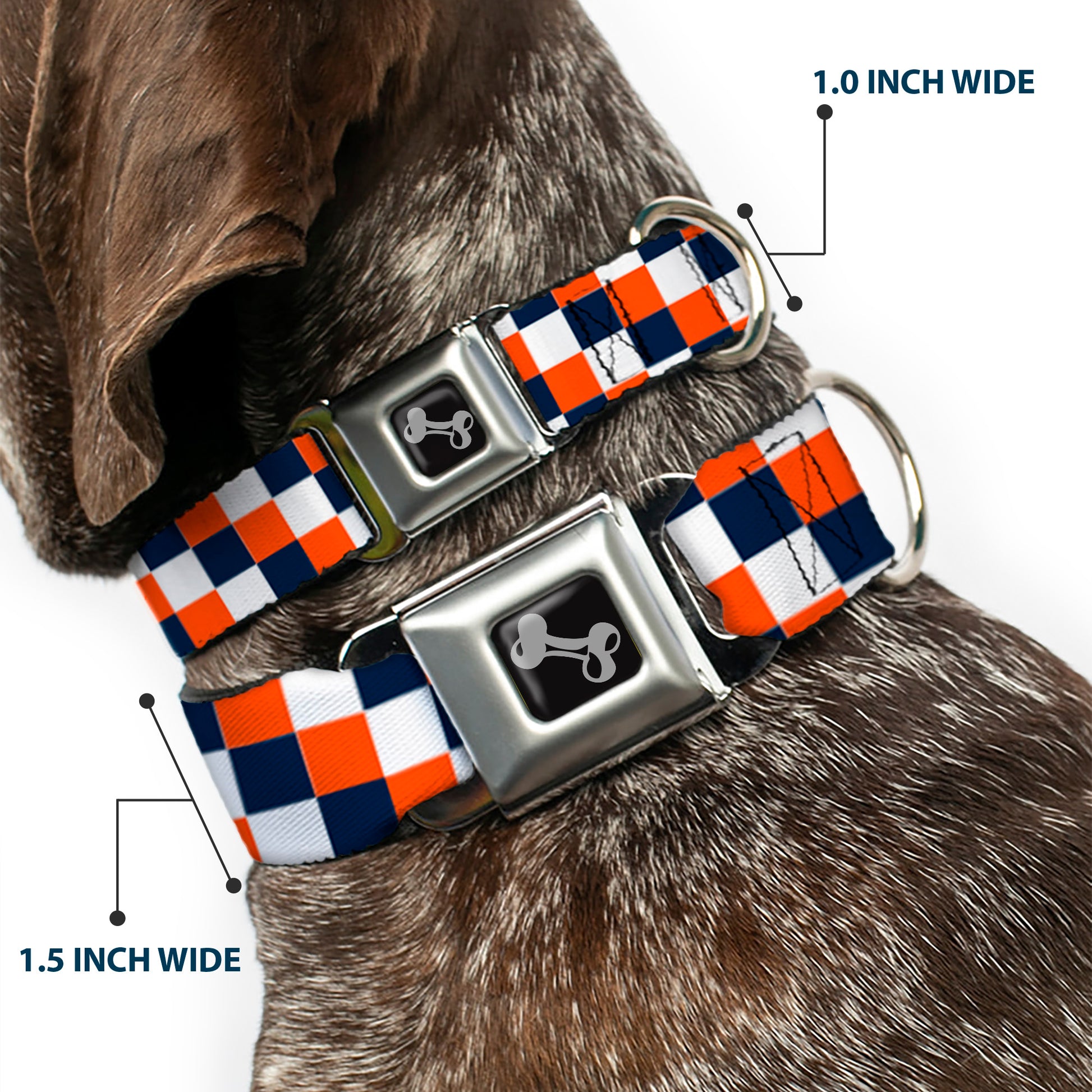 Dog Bone Seatbelt Buckle Collar - Checker Navy/Orange/White Seatbelt Buckle Collars Buckle-Down