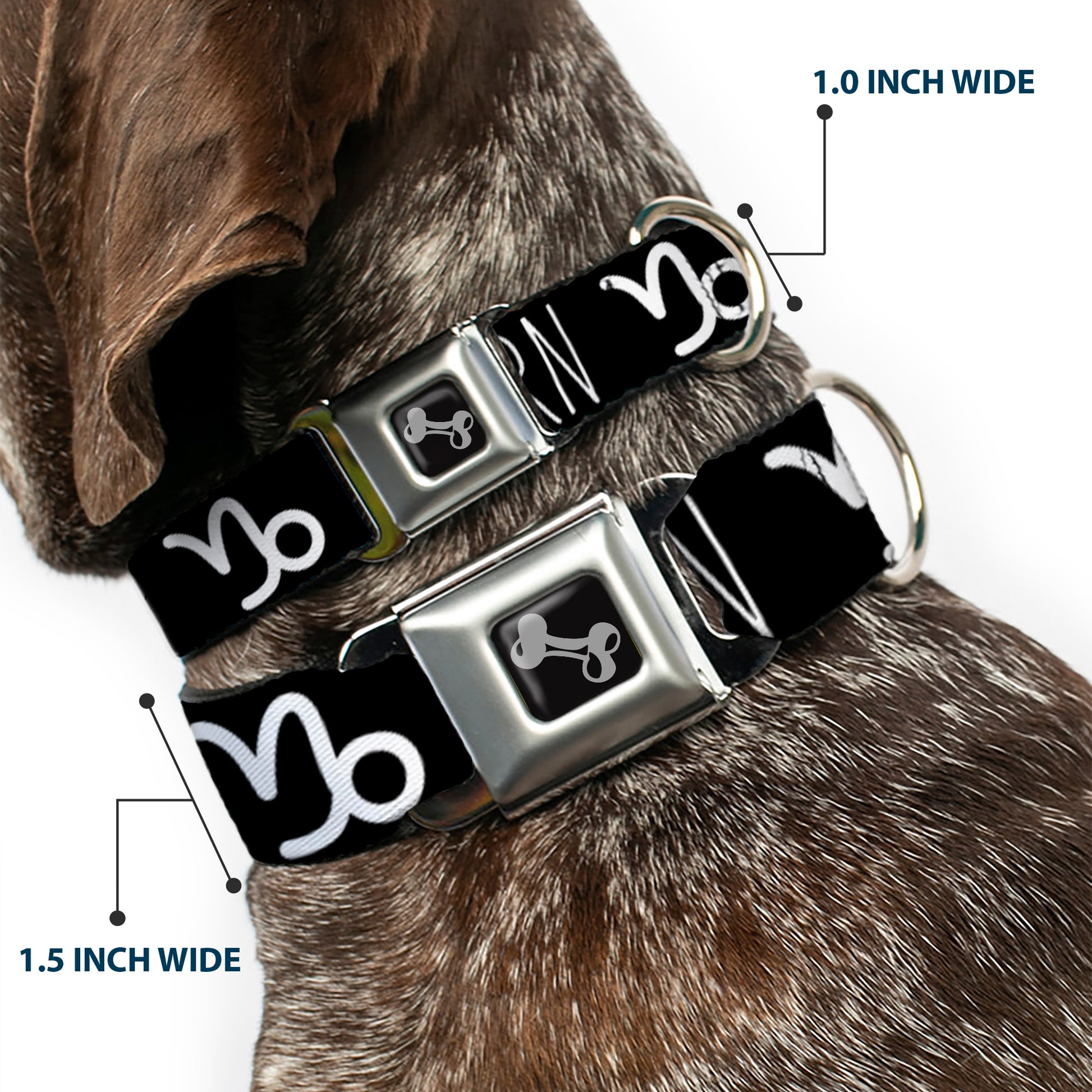 Dog Bone Seatbelt Buckle Collar - Zodiac CAPRICORN/Symbol Black/White Seatbelt Buckle Collars Buckle-Down