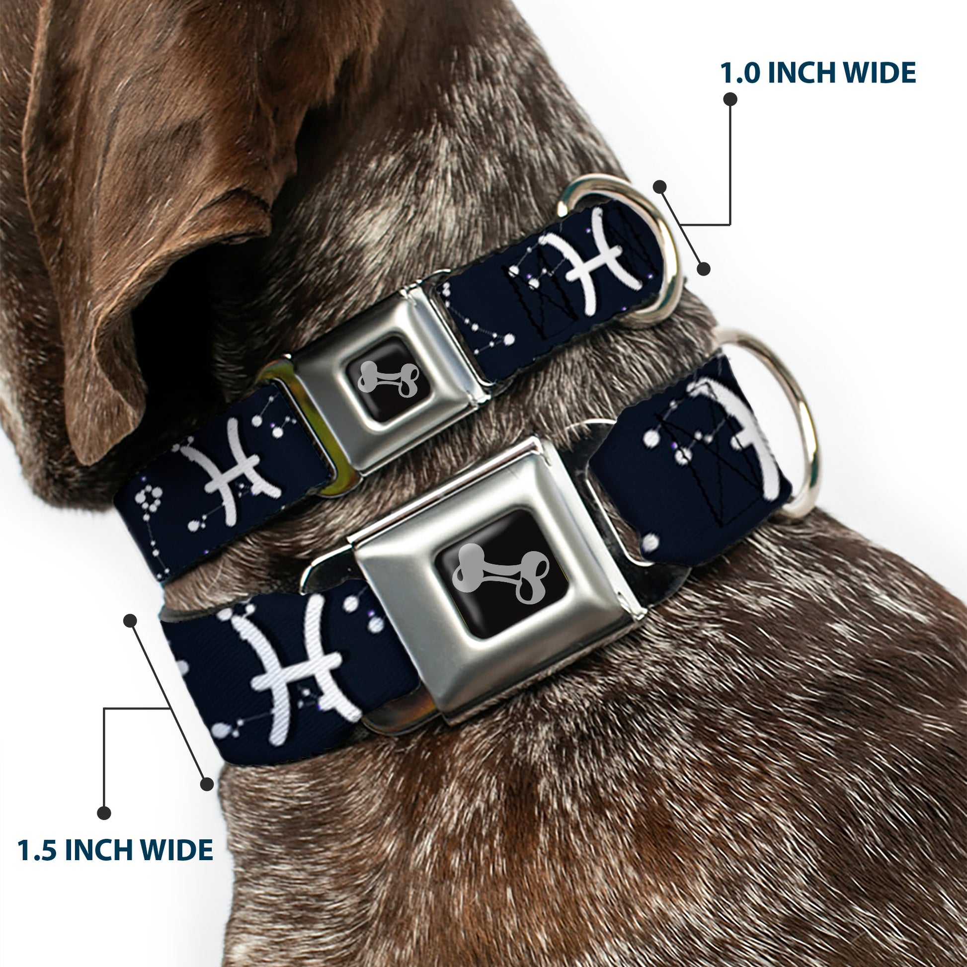 Dog Bone Seatbelt Buckle Collar - Zodiac Pisces Symbol/Constellations Black/White Seatbelt Buckle Collars Buckle-Down