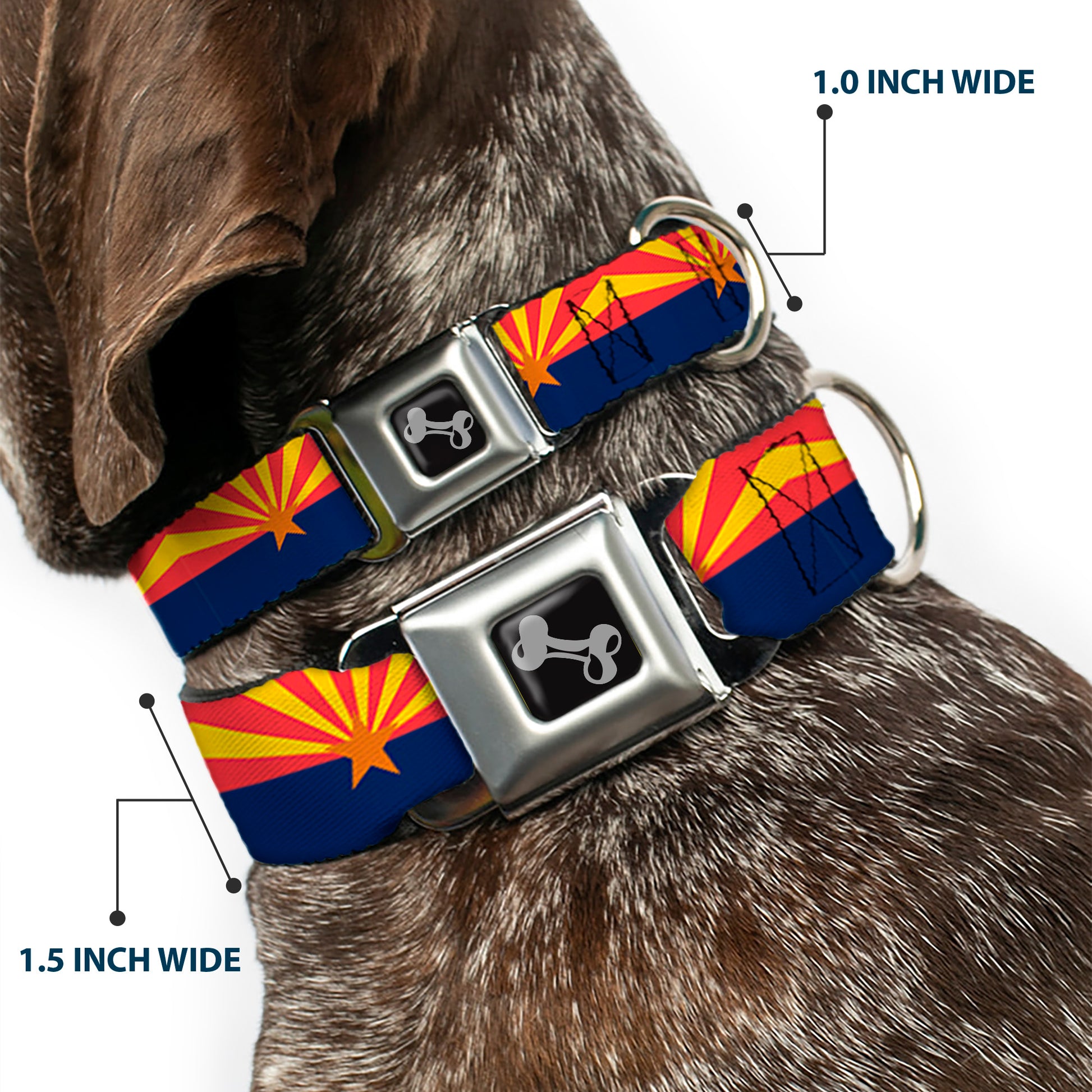 Dog Bone Black/Silver Seatbelt Buckle Collar - Arizona Flag Red/Yellow/Gold/Blue Seatbelt Buckle Collars Buckle-Down