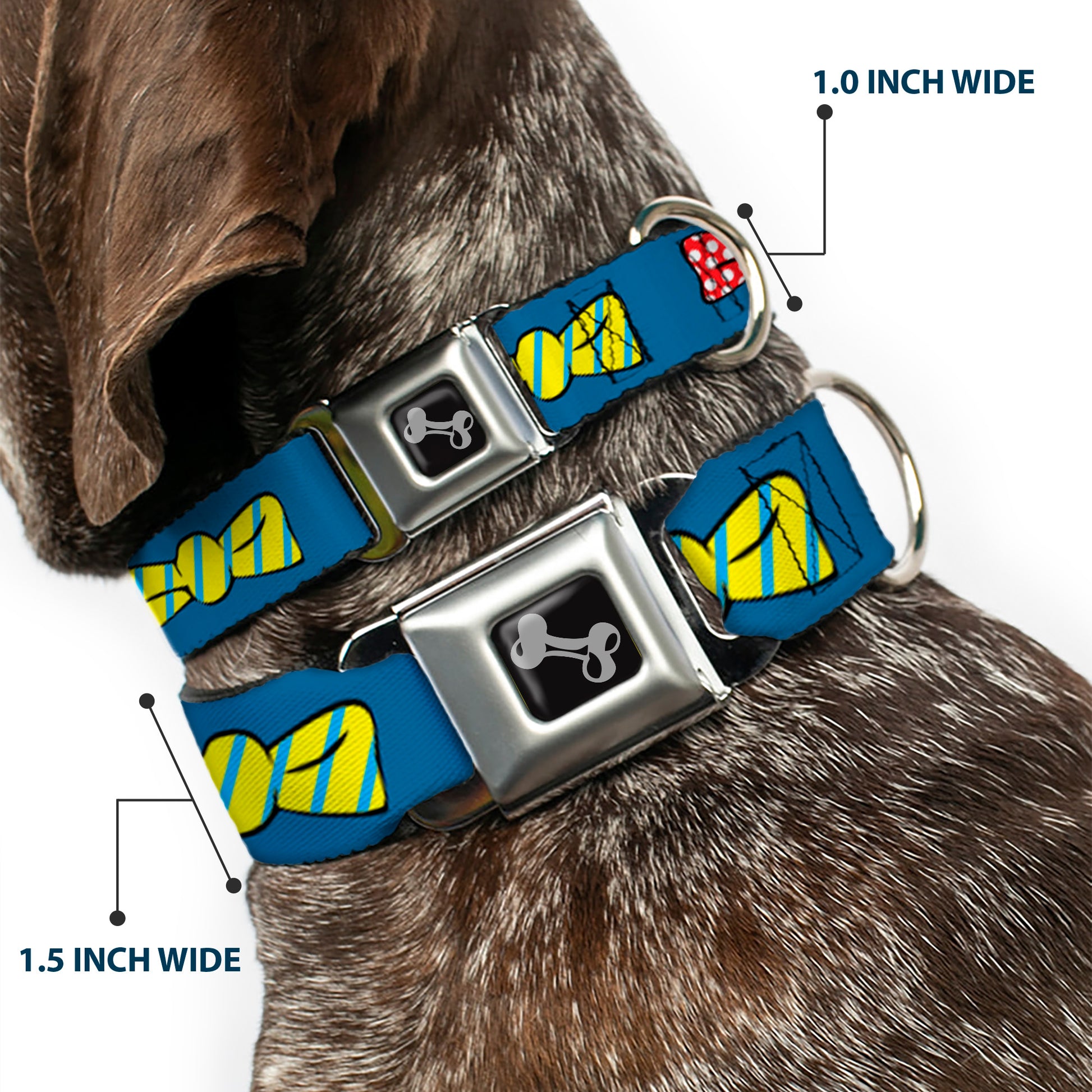 Dog Bone Seatbelt Buckle Collar - Bowties Blue/Multi Color Seatbelt Buckle Collars Buckle-Down