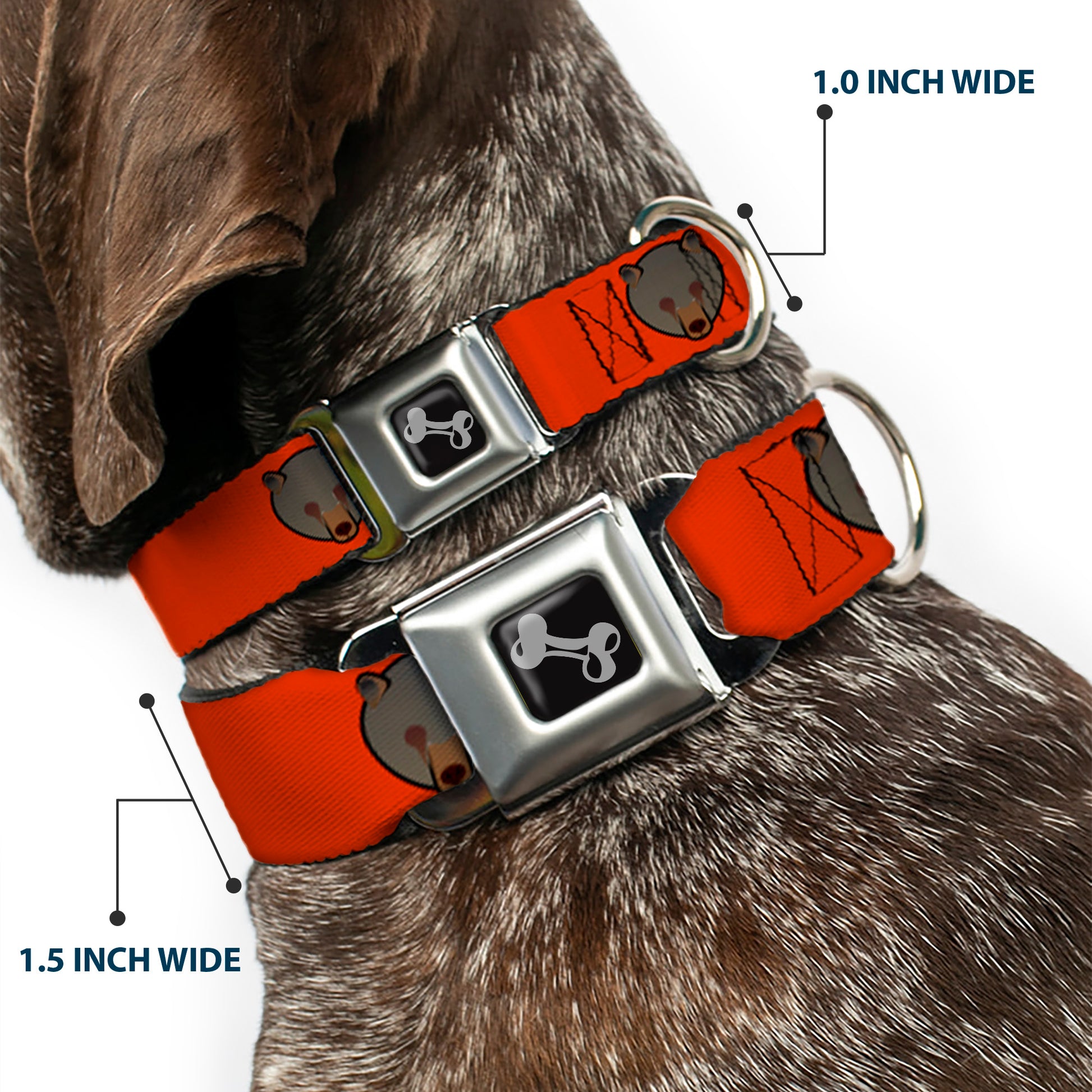 Dog Bone Seatbelt Buckle Collar - Brown Bear Repeat Orange Seatbelt Buckle Collars Buckle-Down