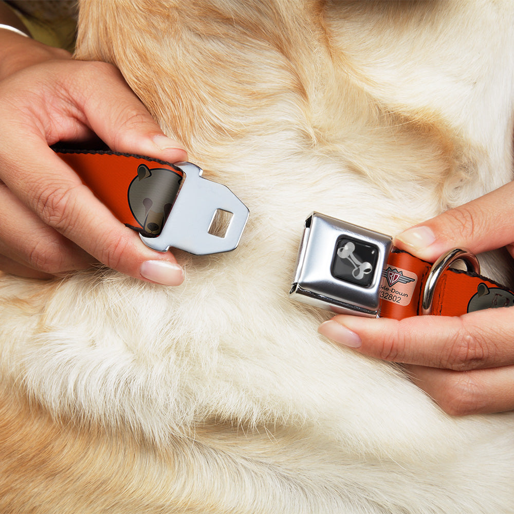 Dog Bone Seatbelt Buckle Collar - Brown Bear Repeat Orange Seatbelt Buckle Collars Buckle-Down