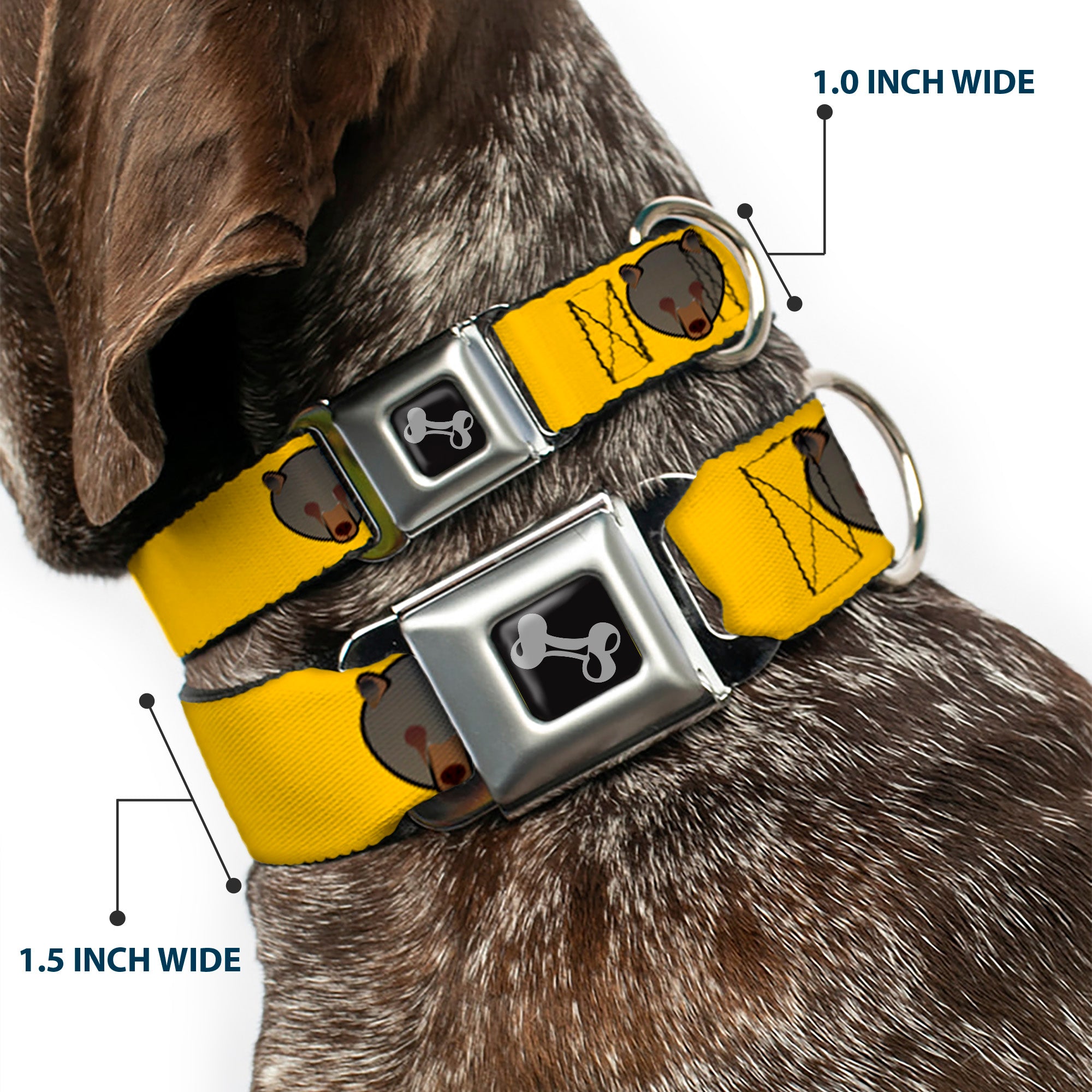 Dog Bone Seatbelt Buckle Collar - Brown Bear Repeat Yellow Seatbelt Buckle Collars Buckle-Down