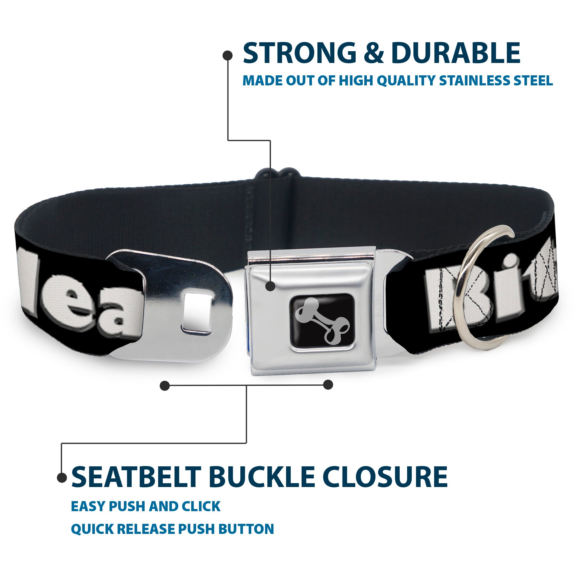 Buckle-Down Seatbelt Buckle Dog Collar - BITCH PLEASE Black/White Seatbelt Buckle Collars Buckle-Down