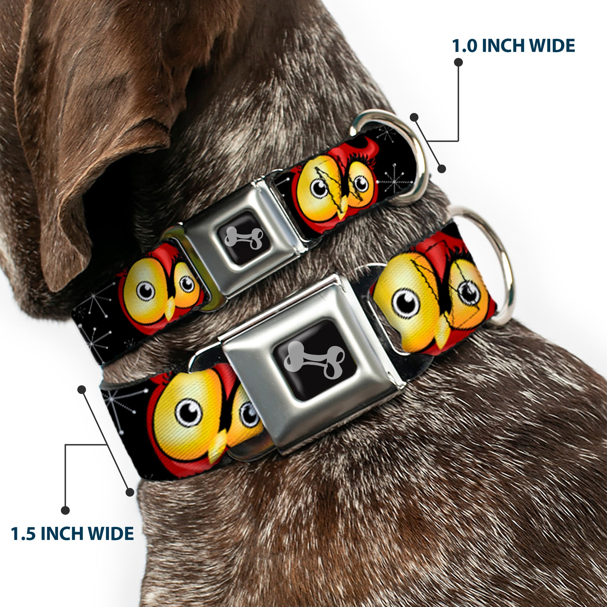 Dog Bone Seatbelt Buckle Collar - Big Eye Owl Seatbelt Buckle Collars Buckle-Down