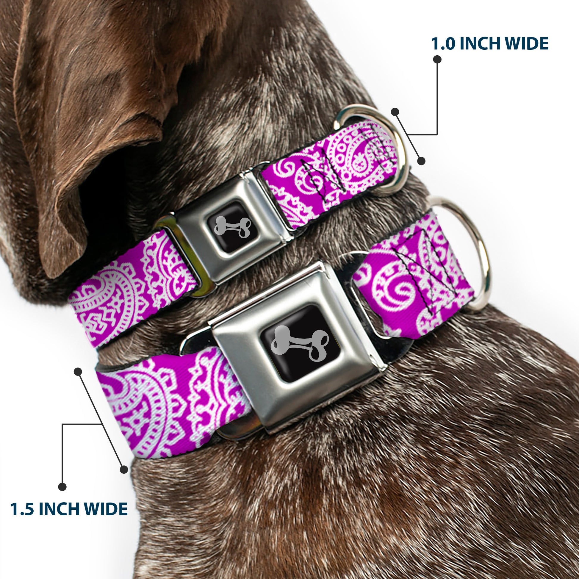 Dog Bone Seatbelt Buckle Collar - Bandana/Skulls Purple/White Seatbelt Buckle Collars Buckle-Down