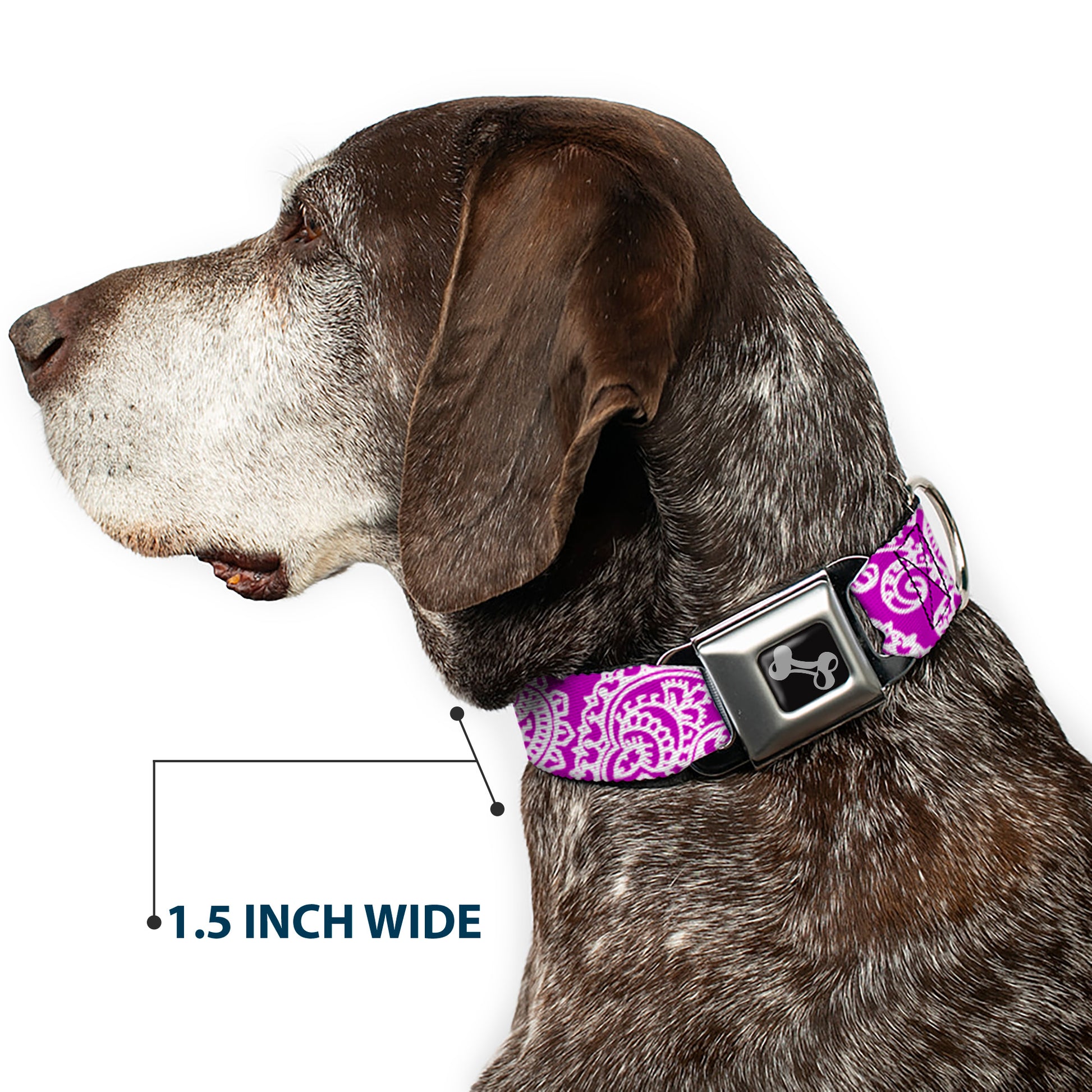 Dog Bone Seatbelt Buckle Collar - Bandana/Skulls Purple/White Seatbelt Buckle Collars Buckle-Down
