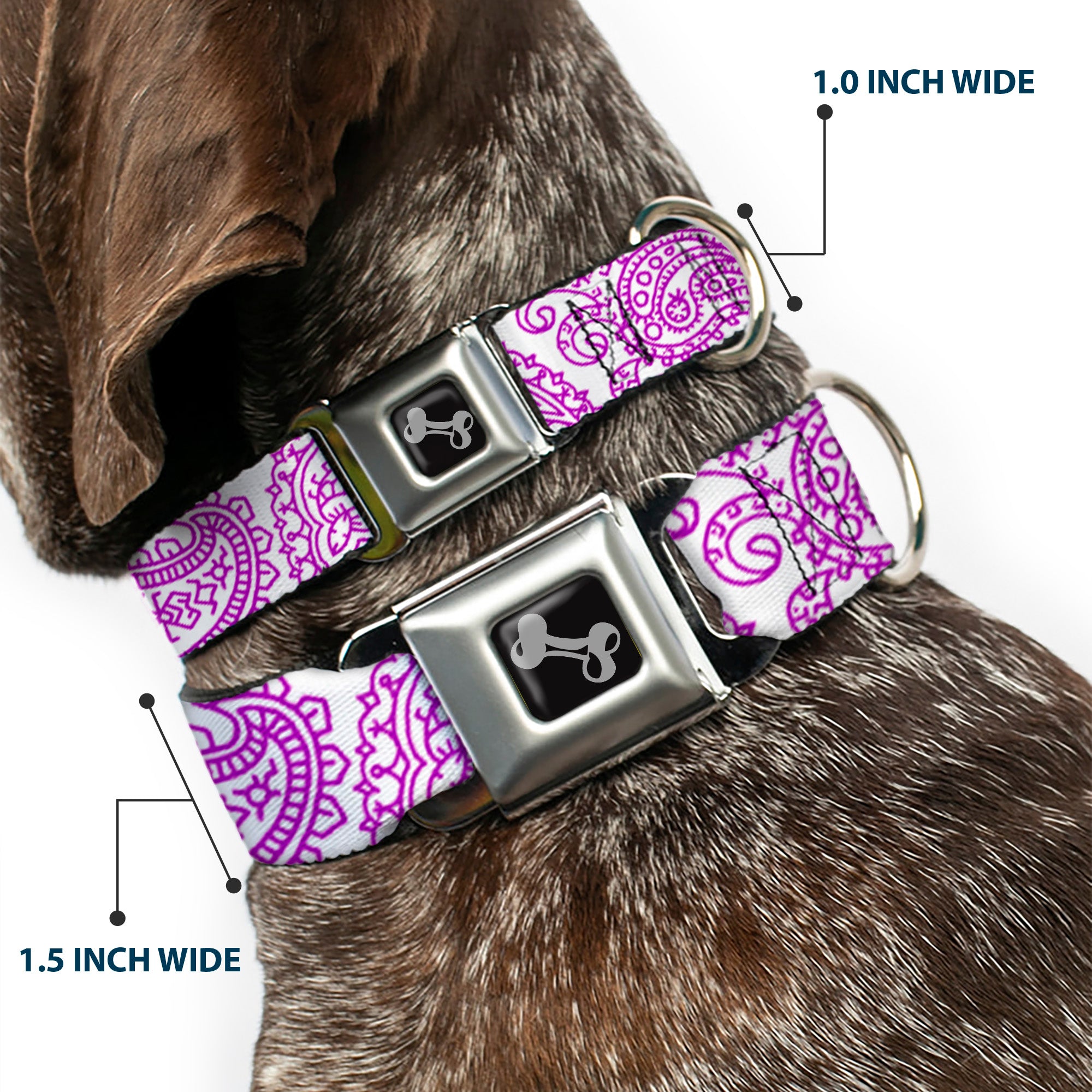 Dog Bone Seatbelt Buckle Collar - Bandana/Skulls White/Purple Seatbelt Buckle Collars Buckle-Down