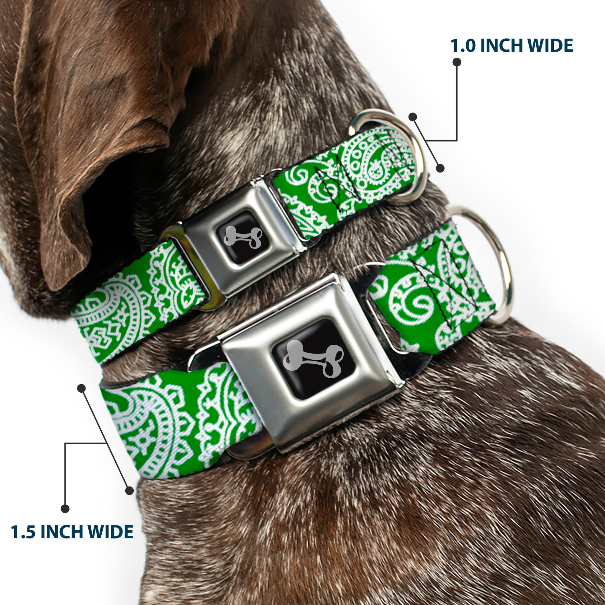 Dog Bone Seatbelt Buckle Collar - Bandana/Skulls Irish Green/White Seatbelt Buckle Collars Buckle-Down
