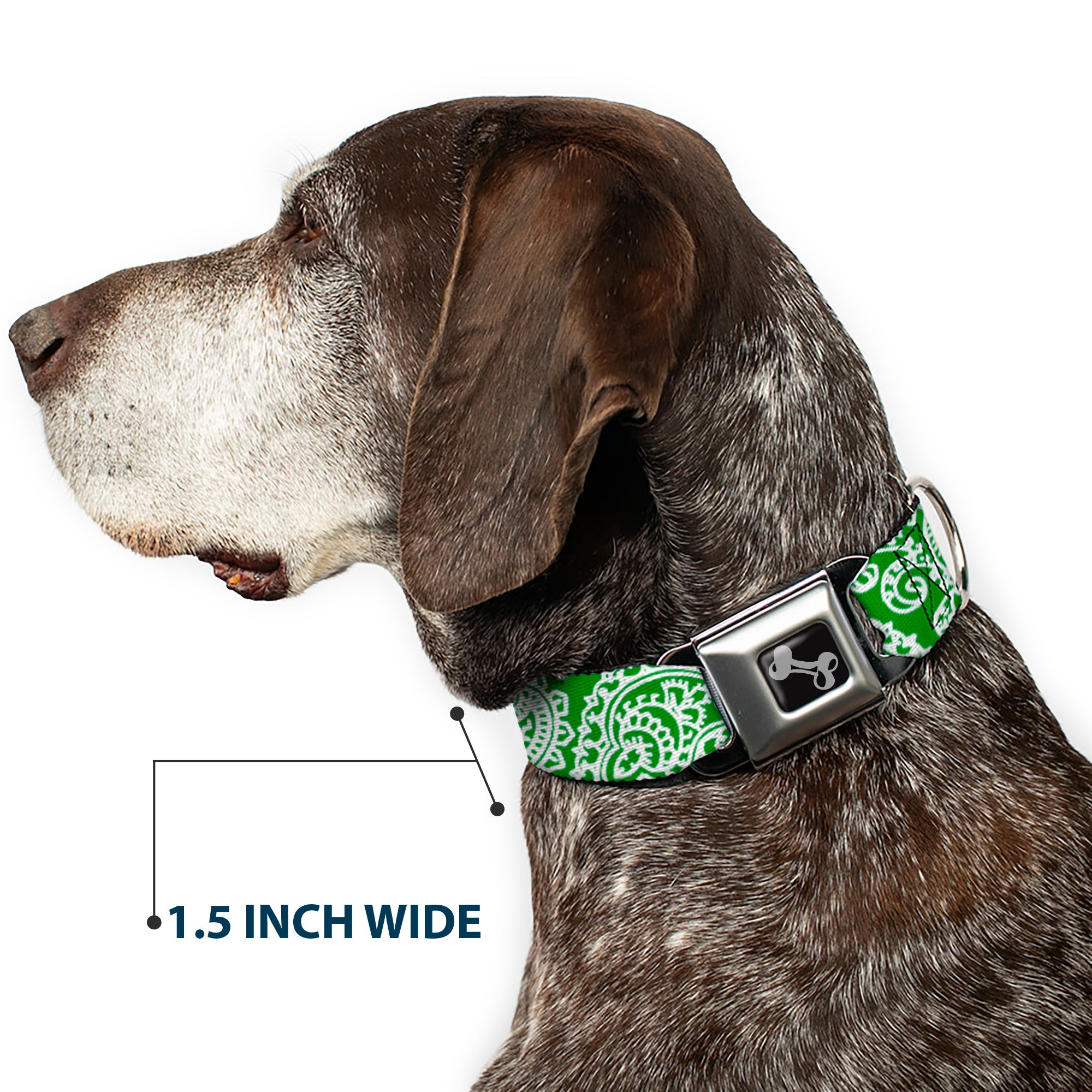 Dog Bone Seatbelt Buckle Collar - Bandana/Skulls Irish Green/White Seatbelt Buckle Collars Buckle-Down