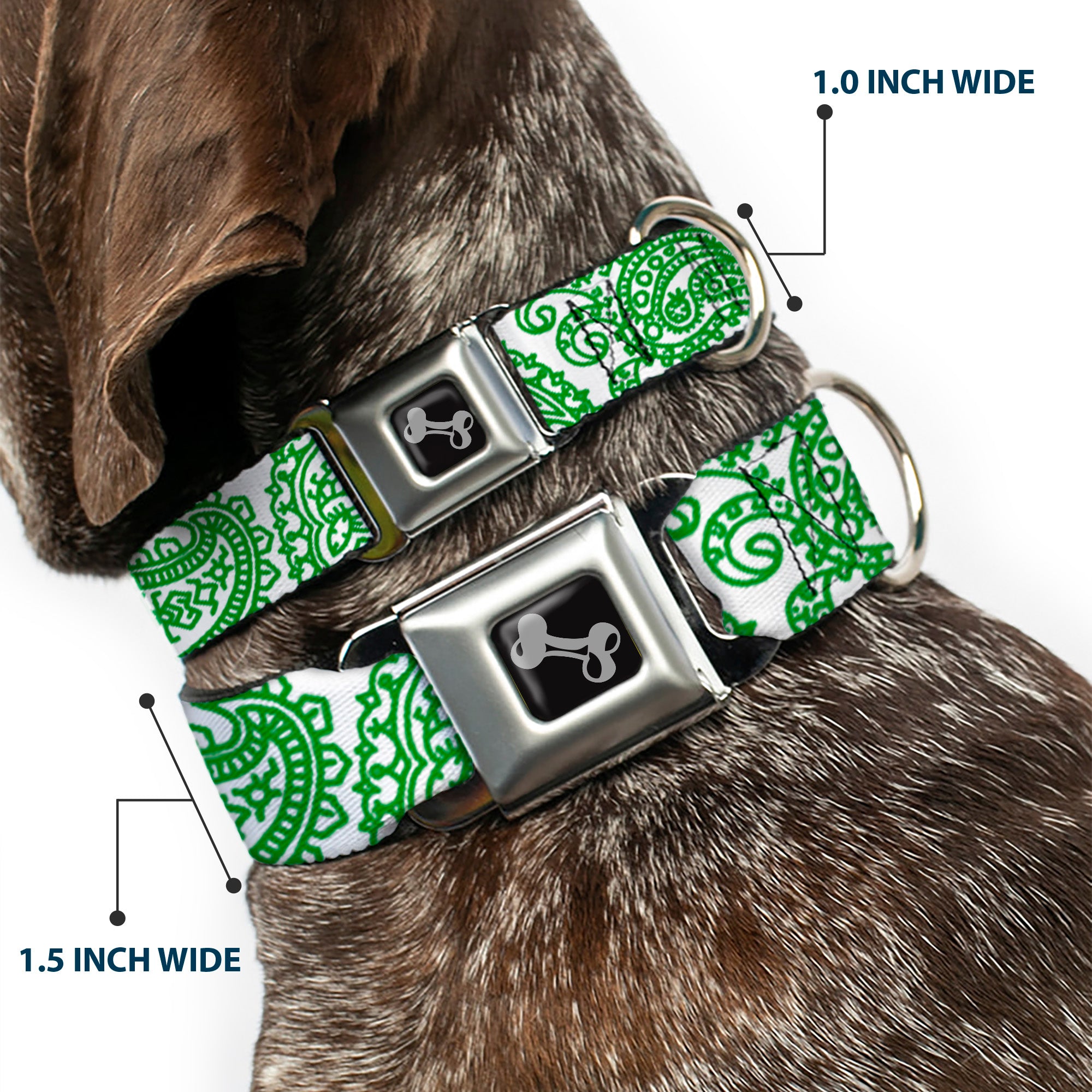 Dog Bone Seatbelt Buckle Collar - Bandana/Skulls White/Irish Green Seatbelt Buckle Collars Buckle-Down
