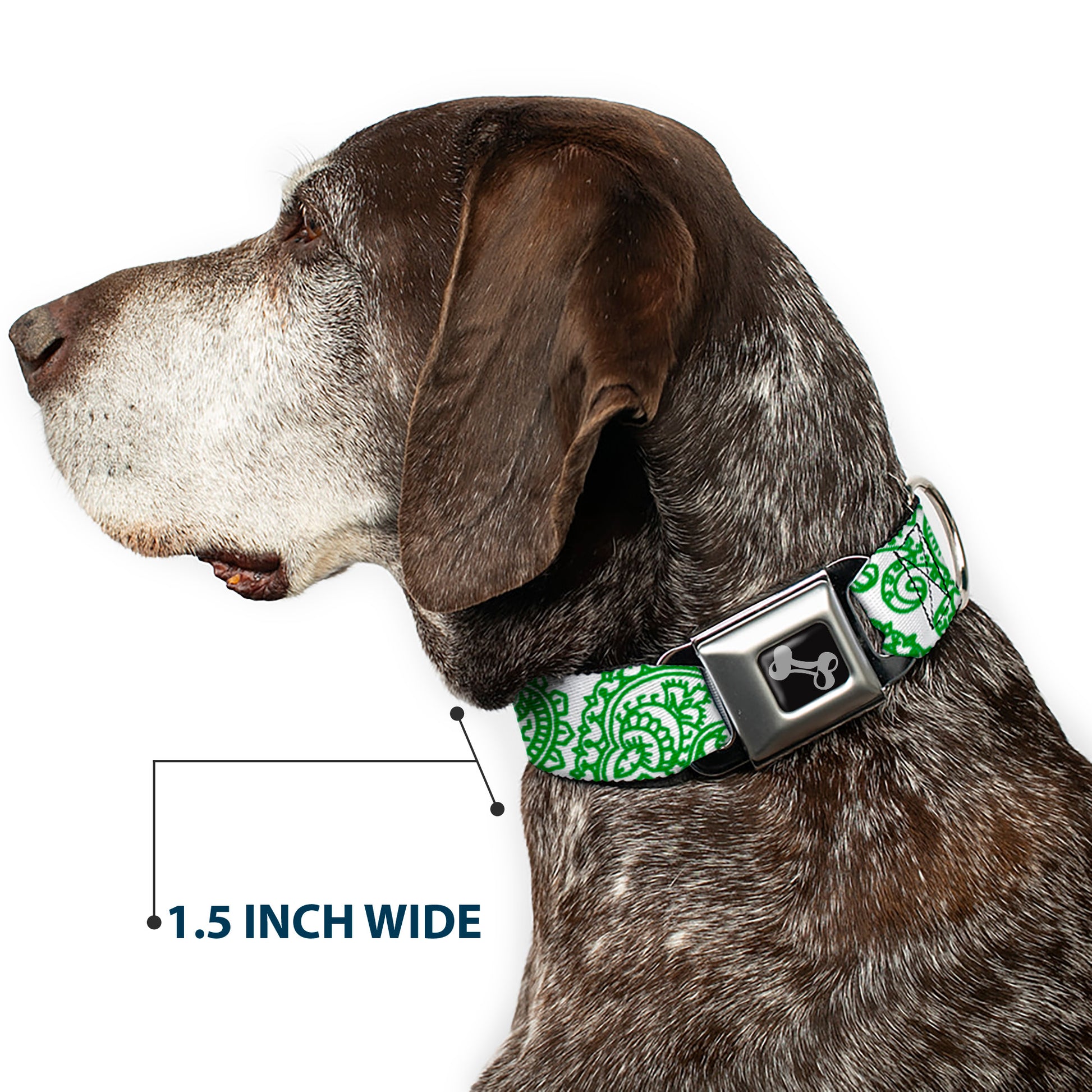 Dog Bone Seatbelt Buckle Collar - Bandana/Skulls White/Irish Green Seatbelt Buckle Collars Buckle-Down