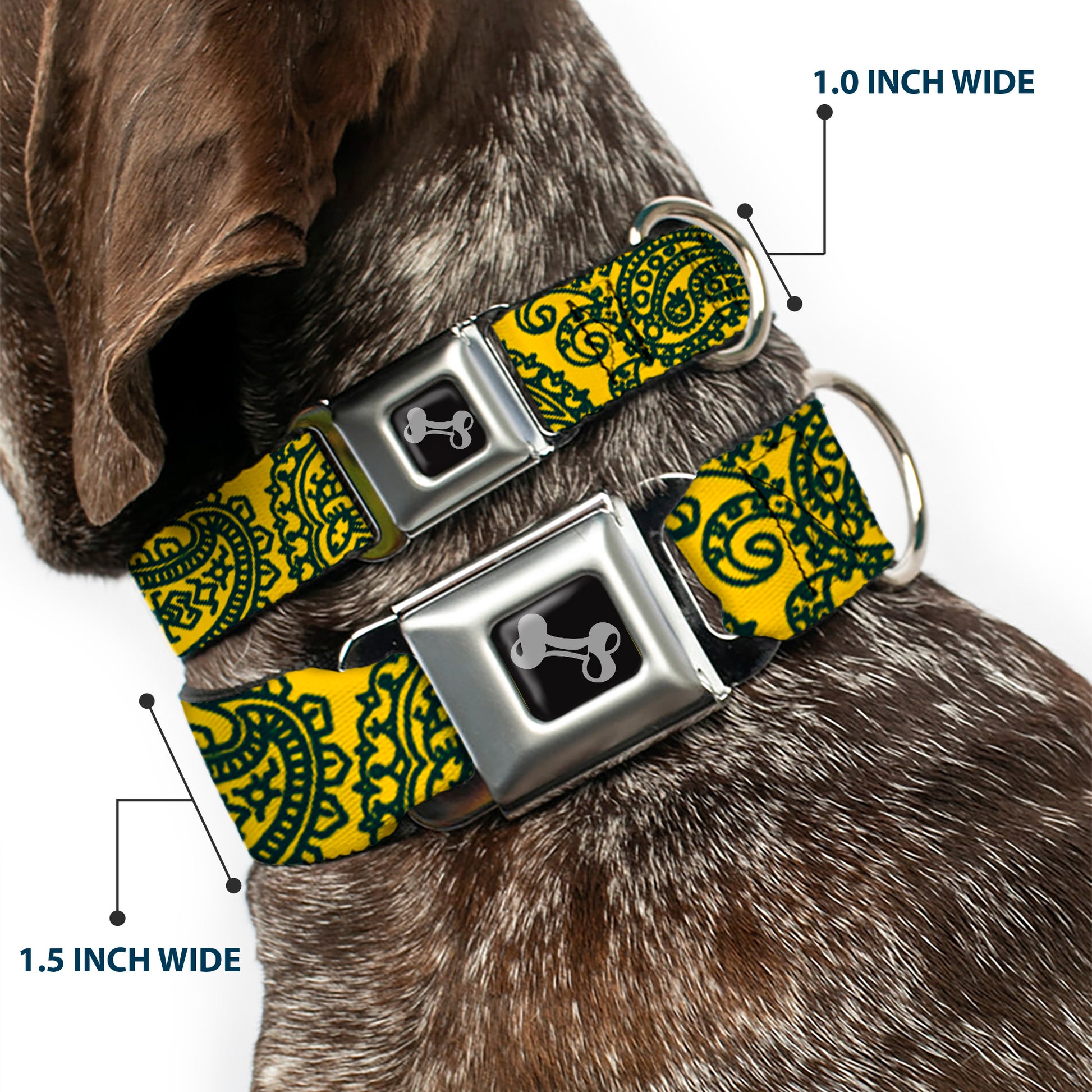 Dog Bone Seatbelt Buckle Collar - Bandana/Skulls Gold/Green Seatbelt Buckle Collars Buckle-Down