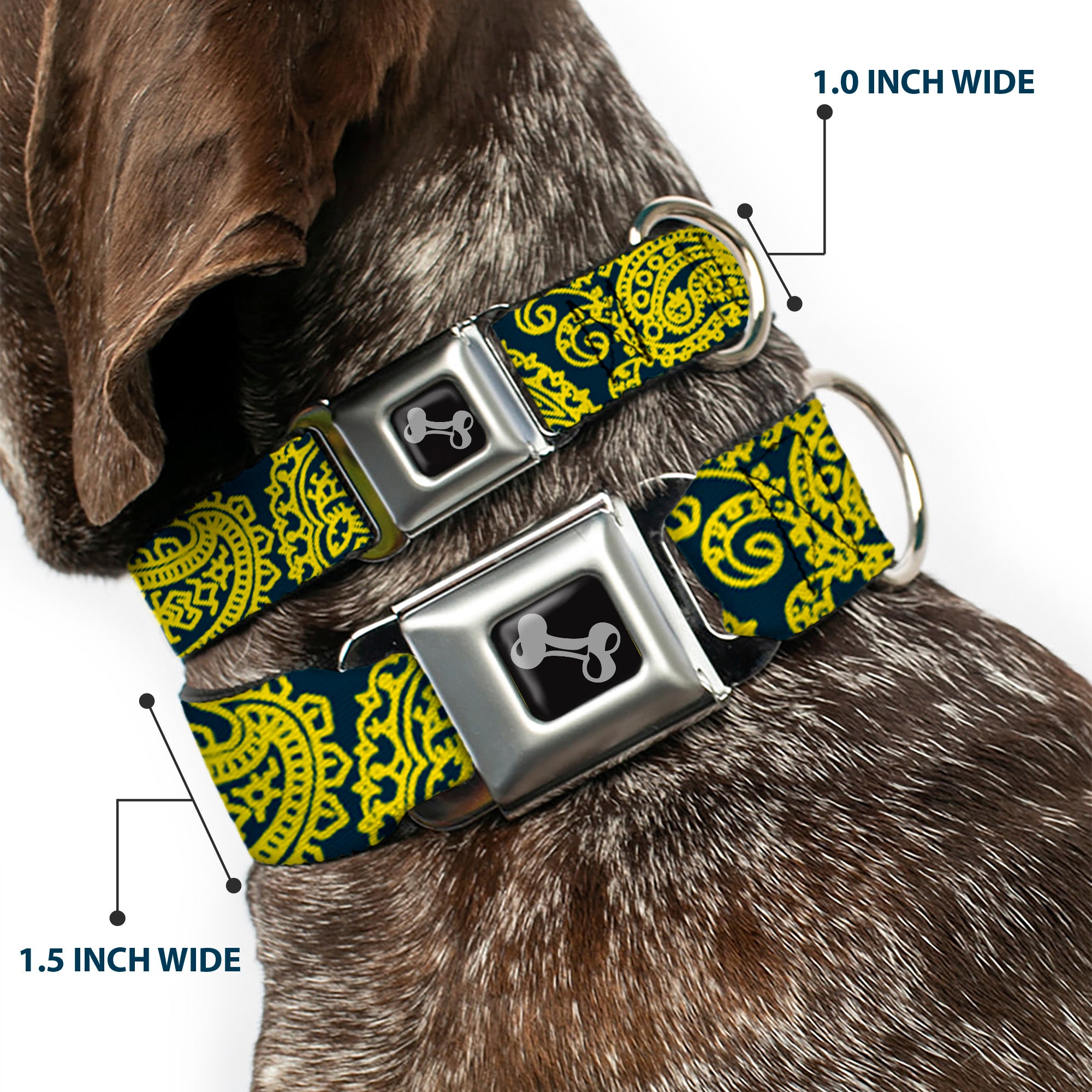 Dog Bone Seatbelt Buckle Collar - Bandana/Skulls Green/Gold Seatbelt Buckle Collars Buckle-Down