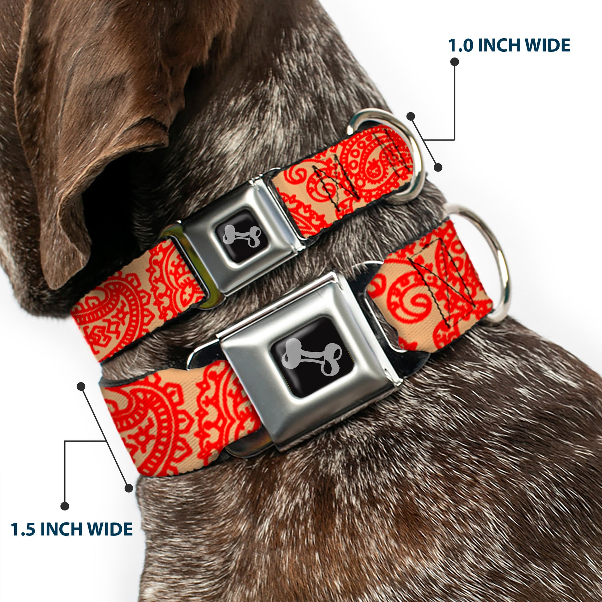 Dog Bone Seatbelt Buckle Collar - Bandana/Skulls Gold/Scarlet Red Seatbelt Buckle Collars Buckle-Down