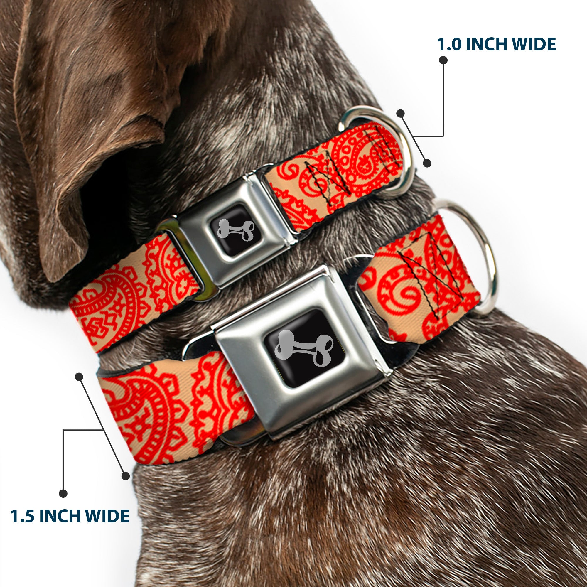 Dog Bone Seatbelt Buckle Collar - Bandana/Skulls Gold/Scarlet Red Seatbelt Buckle Collars Buckle-Down