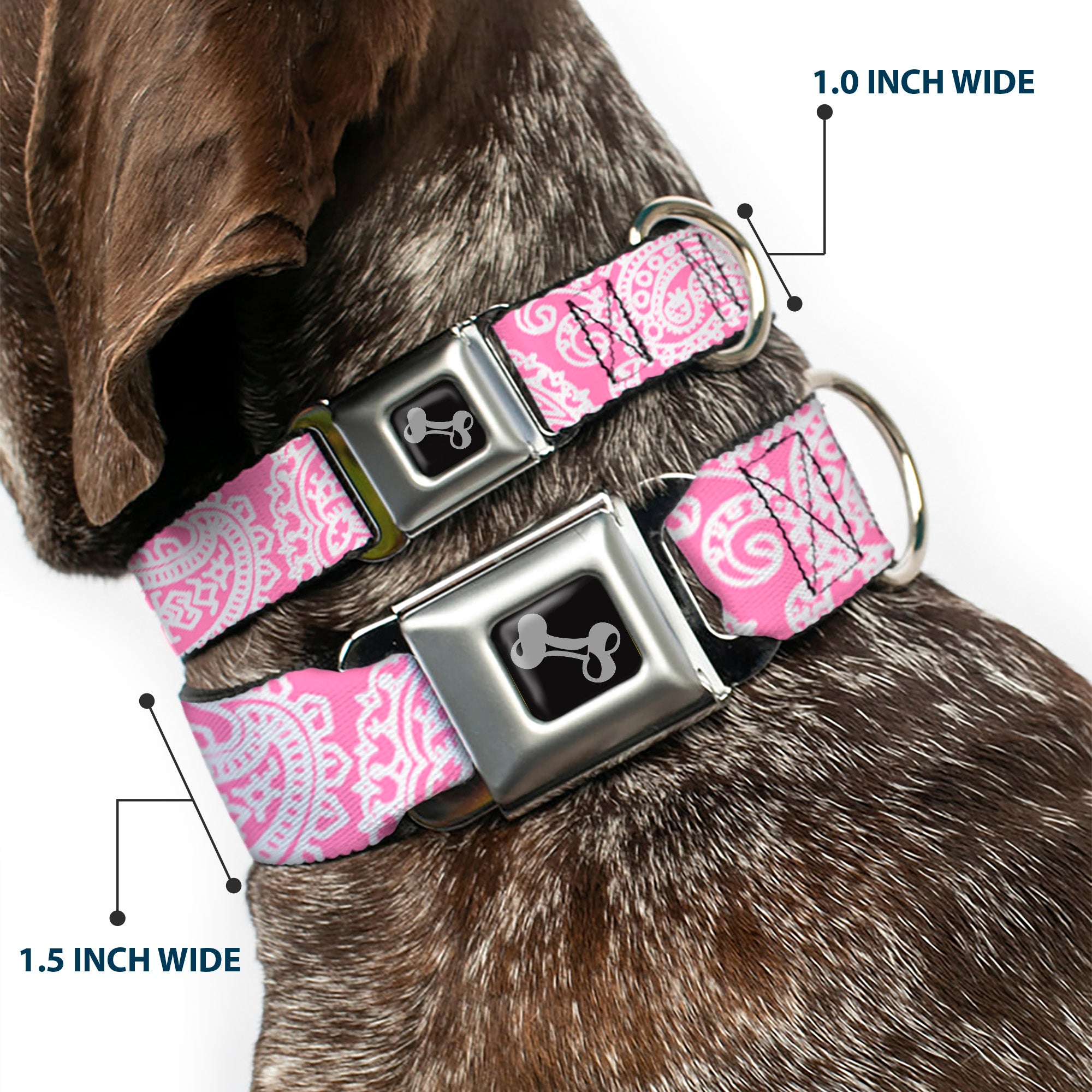 Dog Bone Seatbelt Buckle Collar - Bandana/Skulls Pink/White Seatbelt Buckle Collars Buckle-Down
