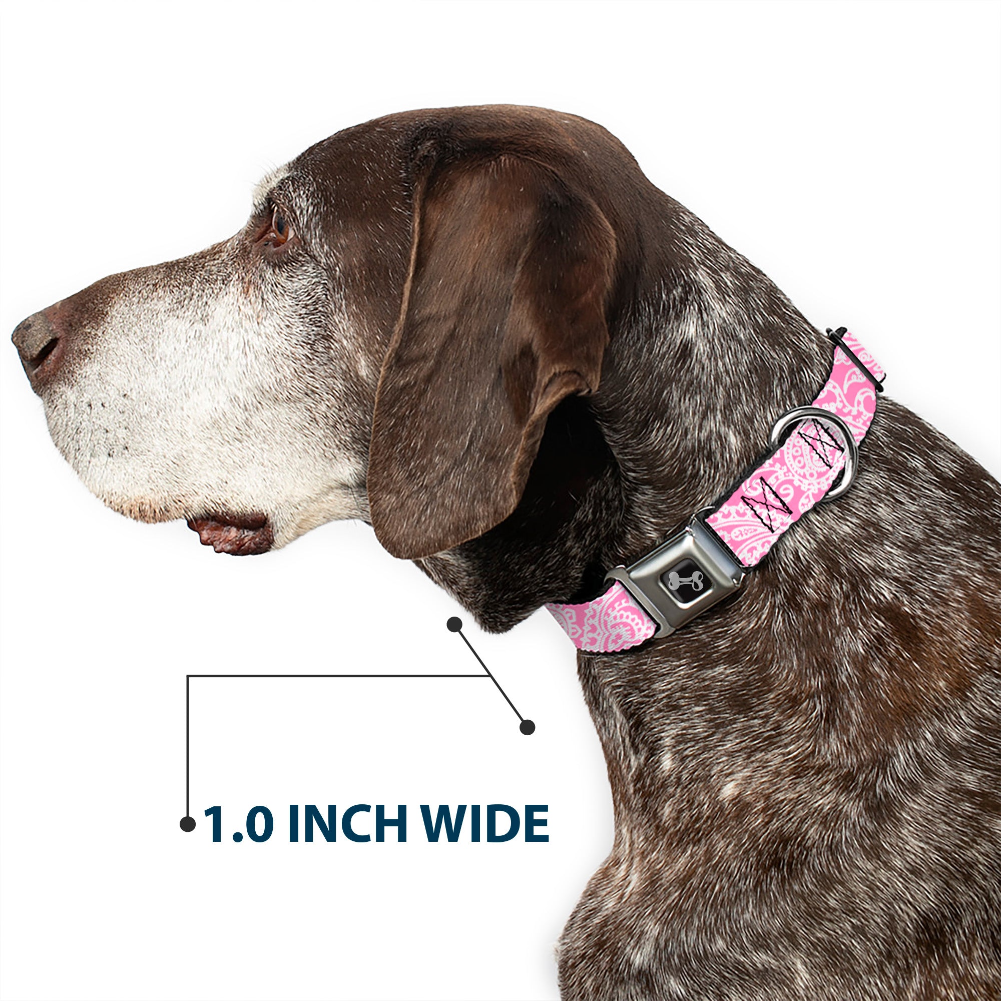 Dog Bone Seatbelt Buckle Collar - Bandana/Skulls Pink/White Seatbelt Buckle Collars Buckle-Down