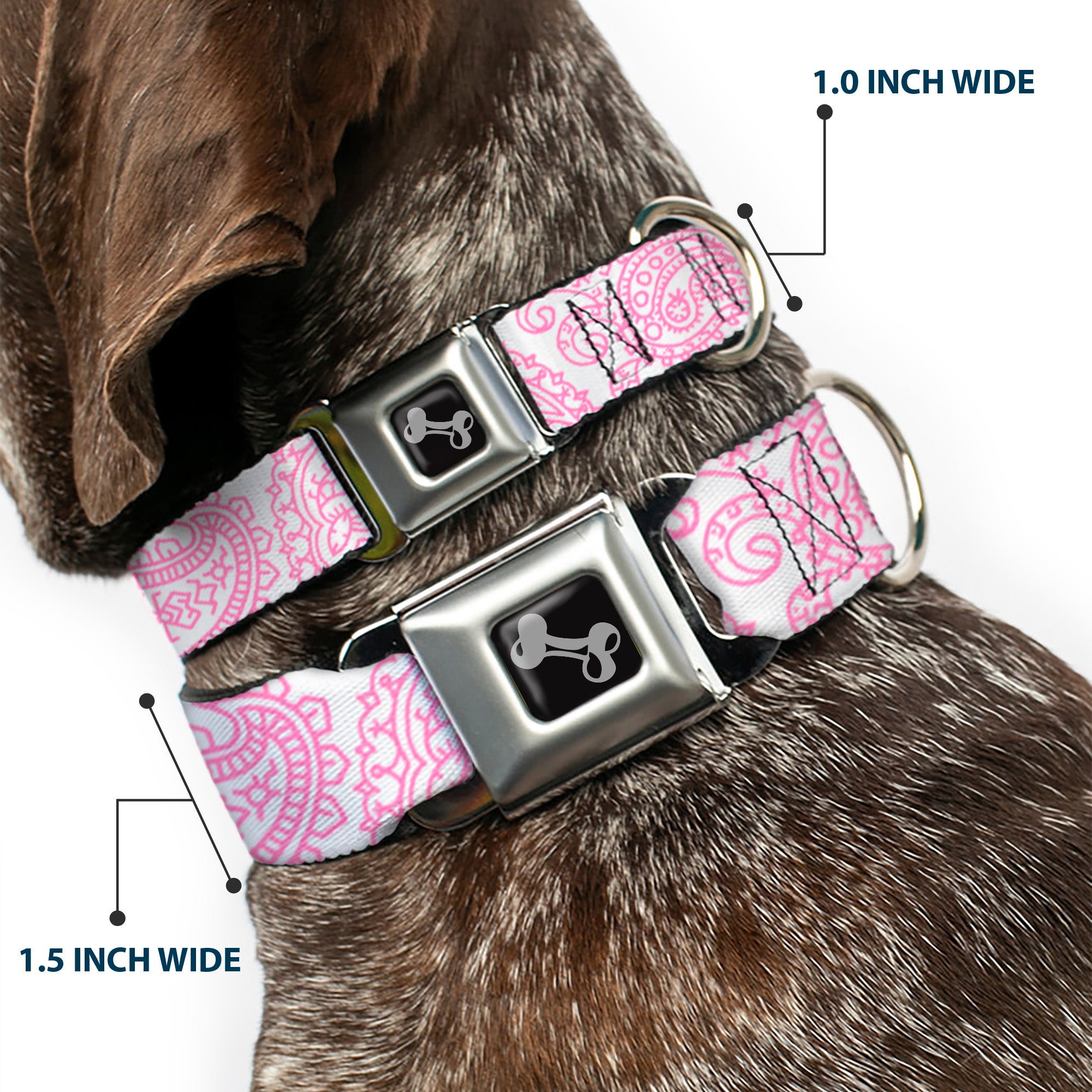 Dog Bone Seatbelt Buckle Collar - Bandana/Skulls White/Pink Seatbelt Buckle Collars Buckle-Down